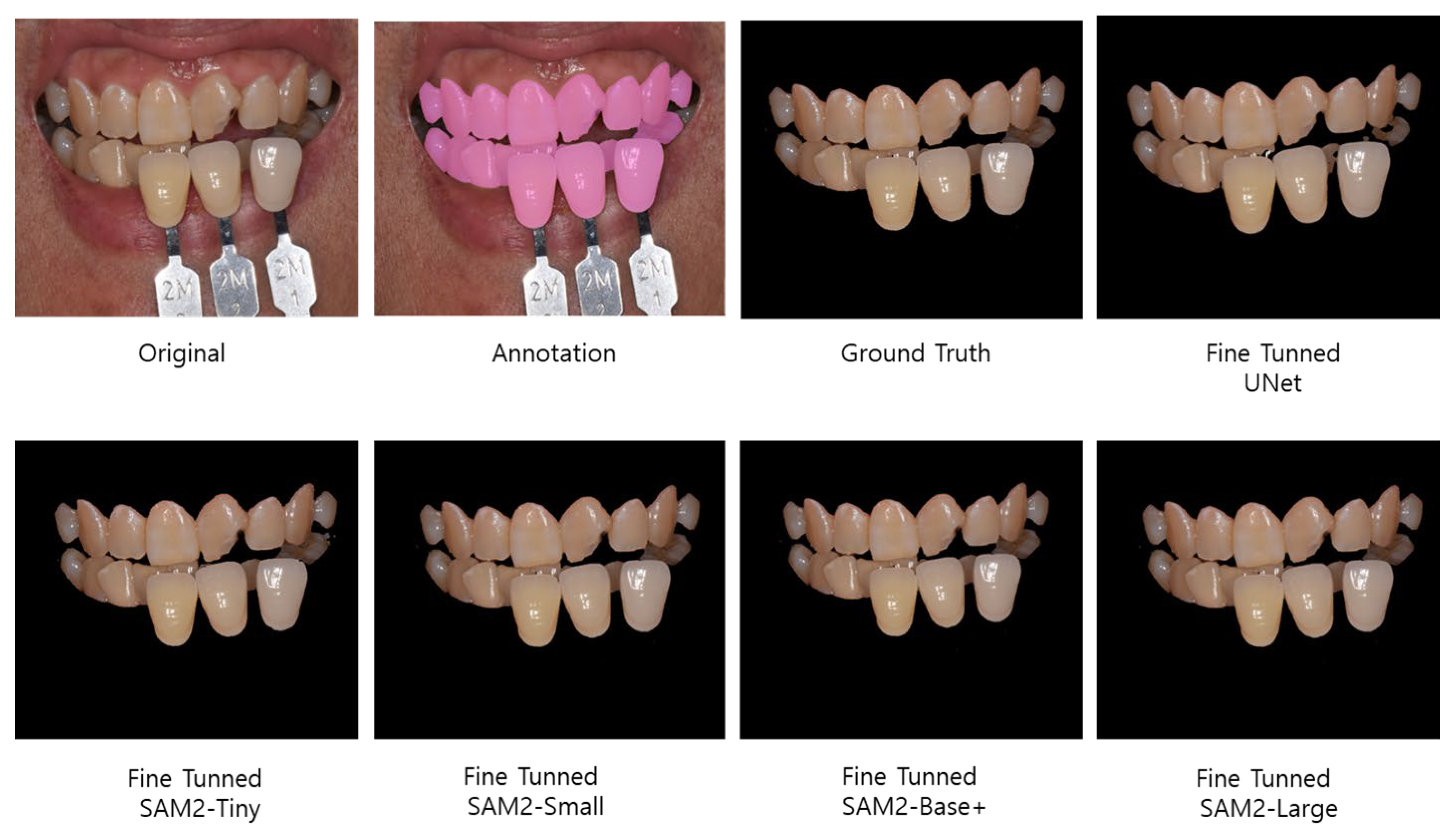 Bioengineering 12 00959 g004