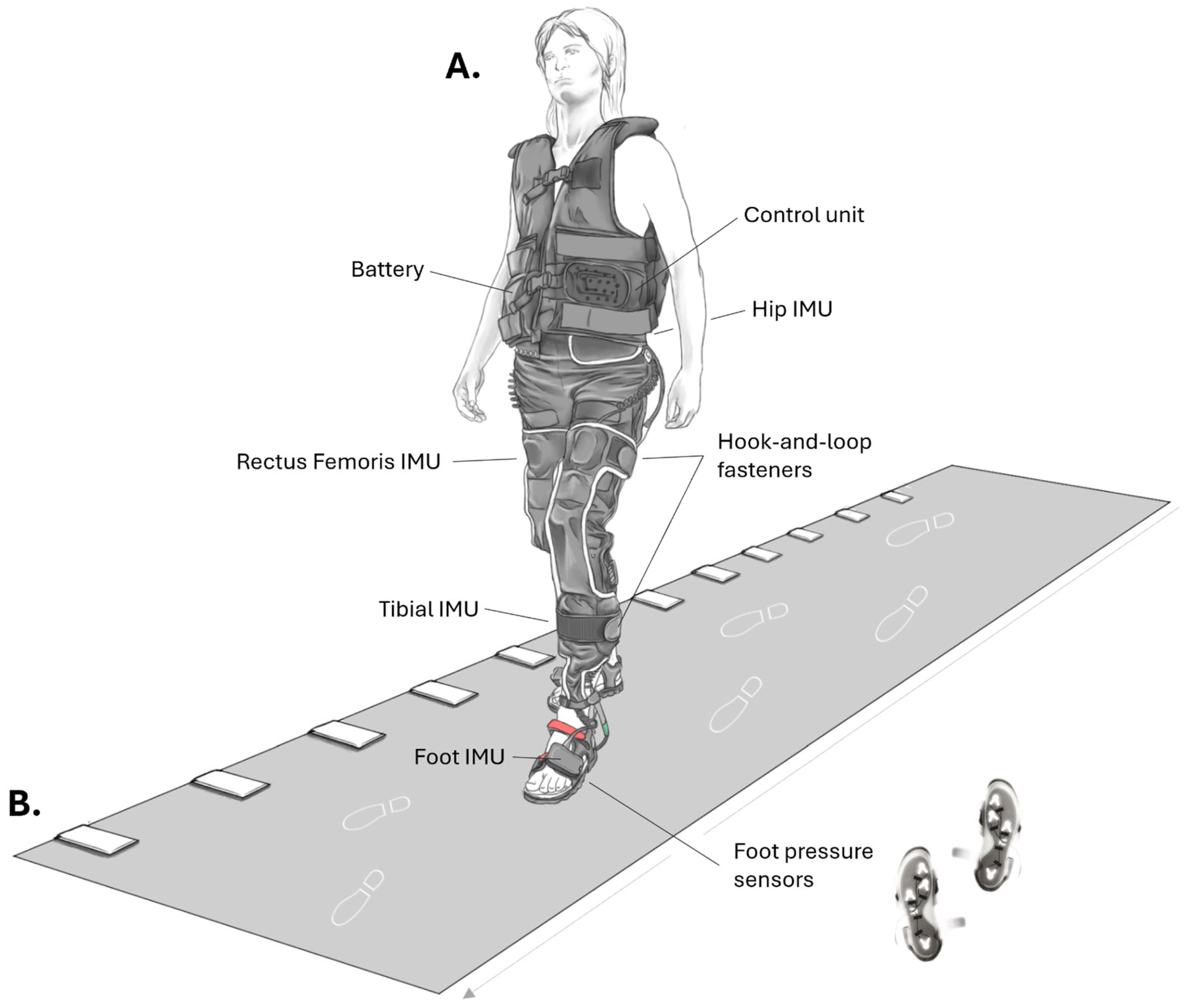 Bioengineering 12 00960 g001