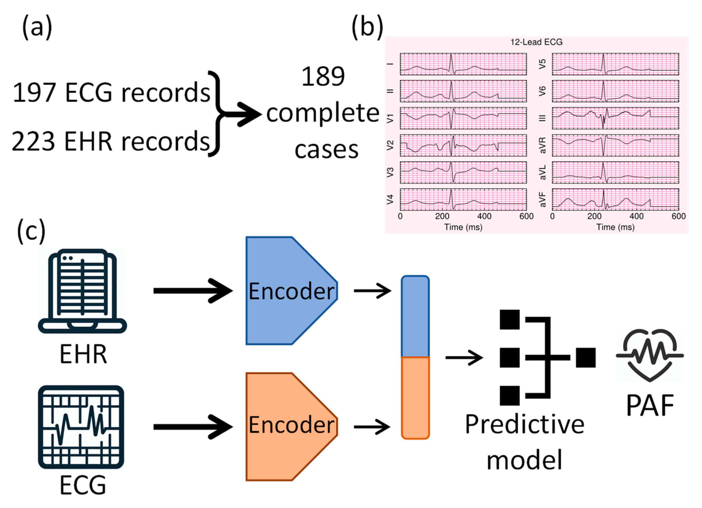 Bioengineering 12 00961 g001 Bioengineering 12 00961 g001