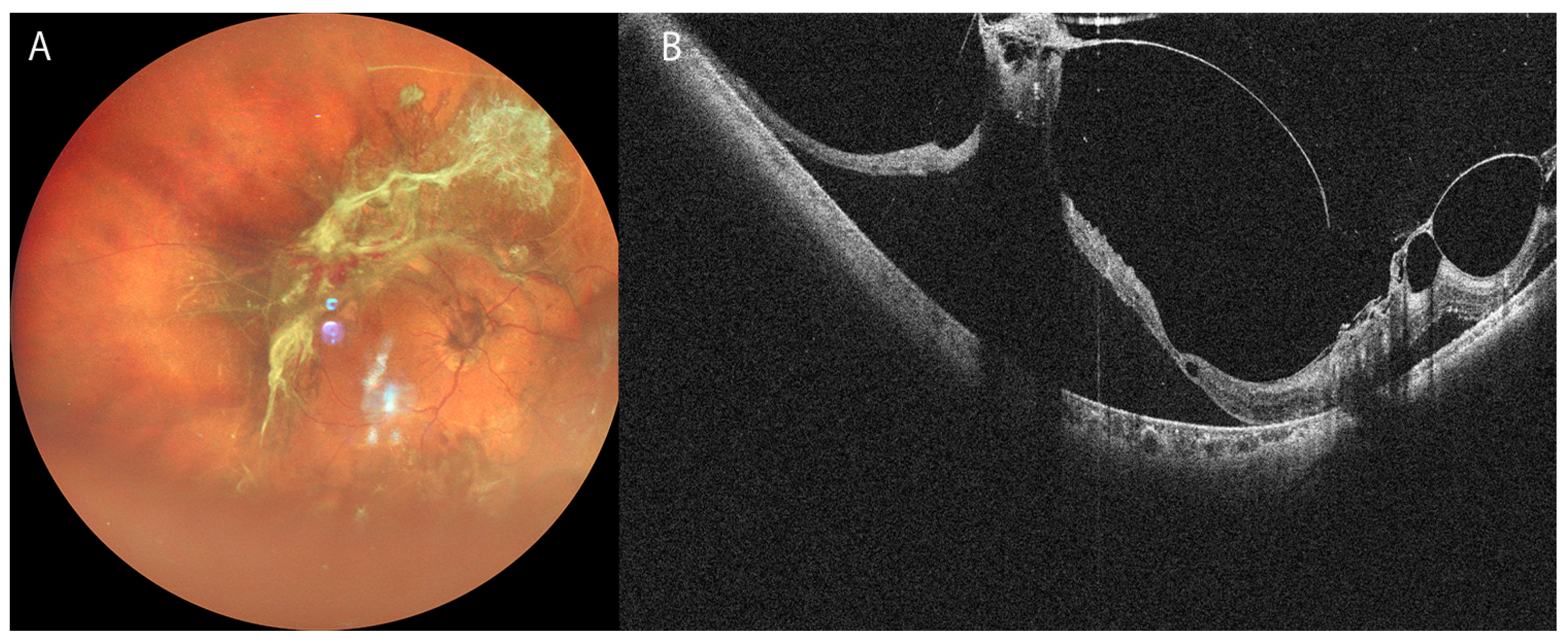 Bioengineering 12 00962 g003 Bioengineering 12 00962 g003