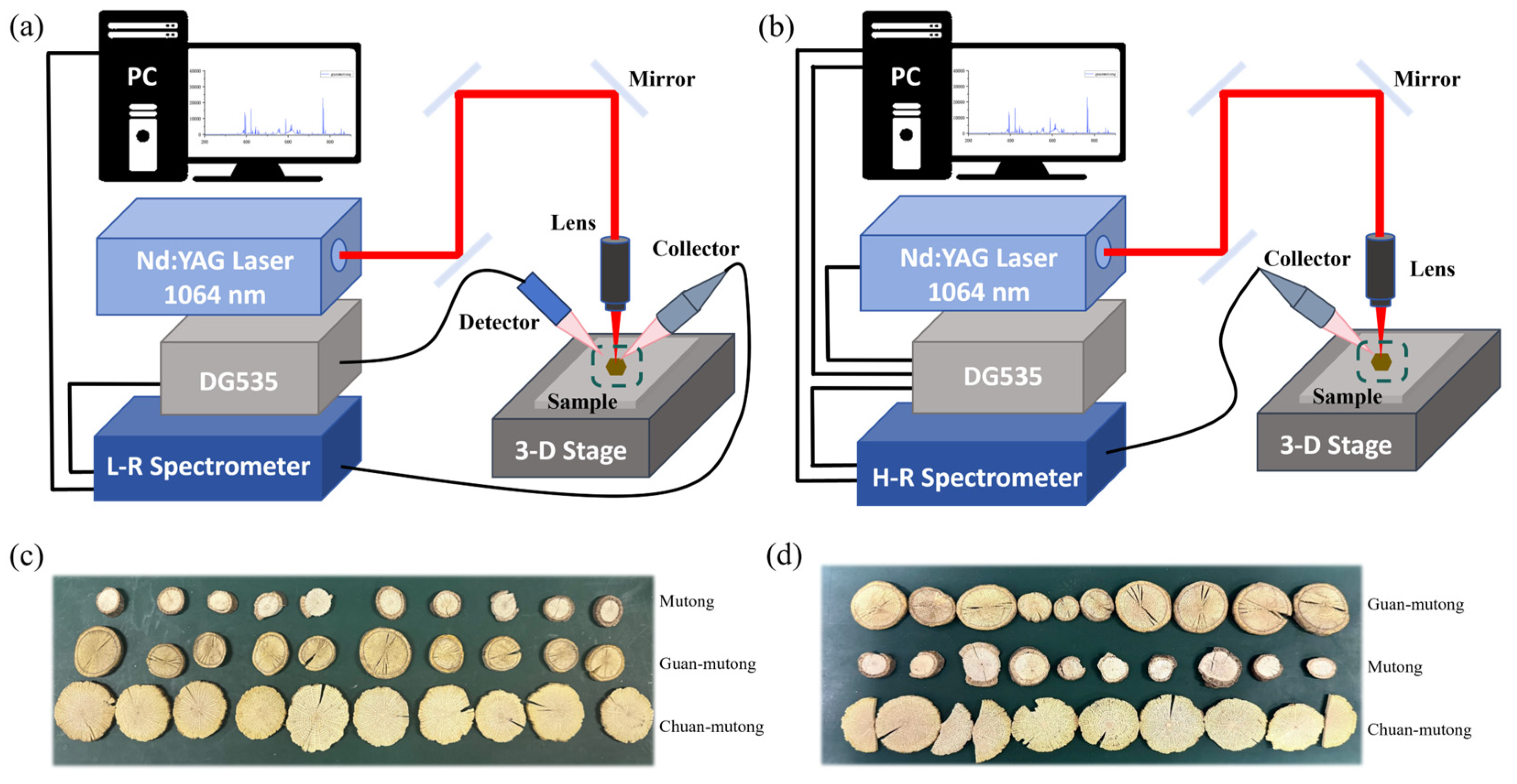 Bioengineering 12 00964 g001 Bioengineering 12 00964 g001