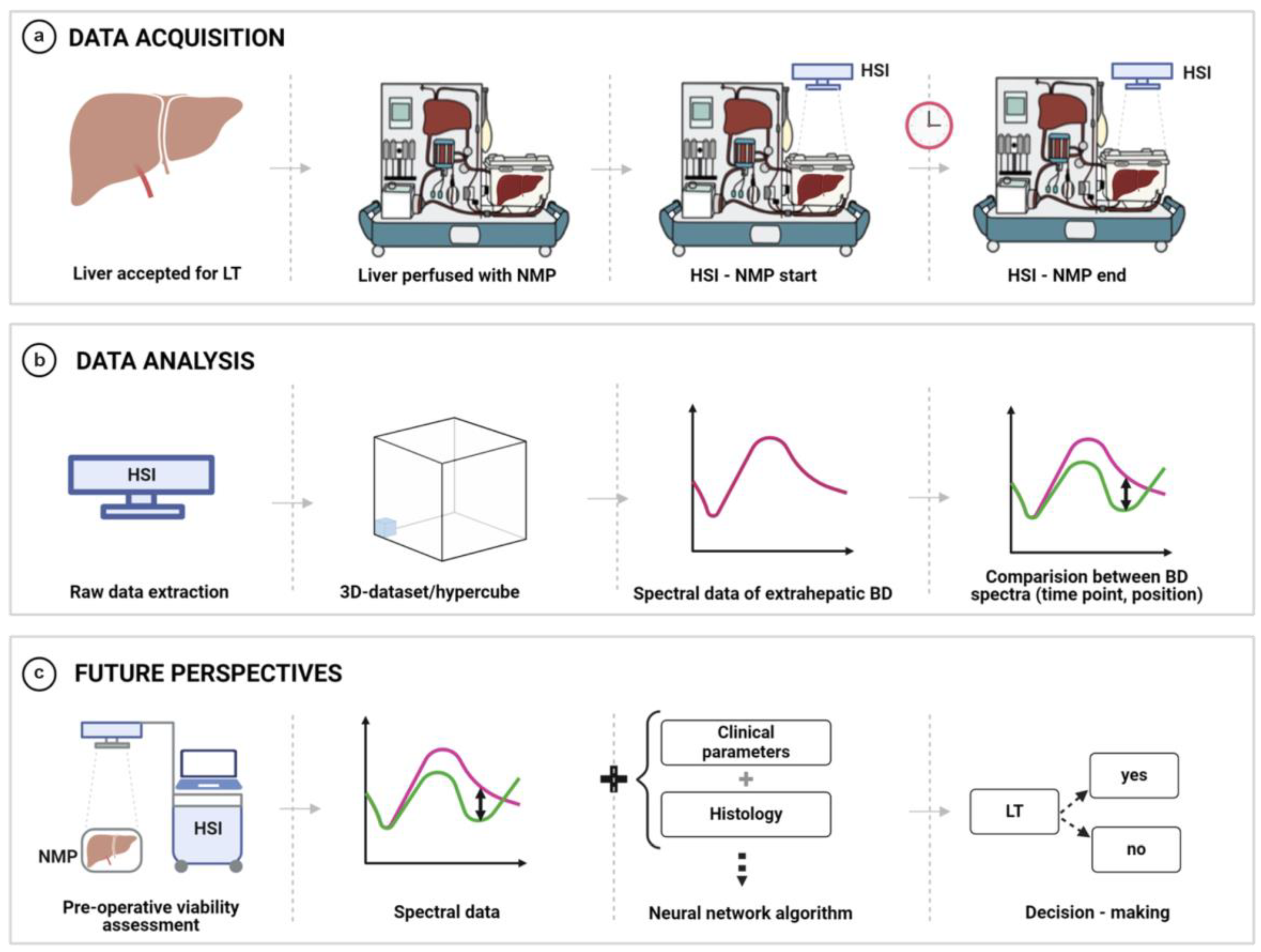 Bioengineering 12 00966 g001 Bioengineering 12 00966 g001