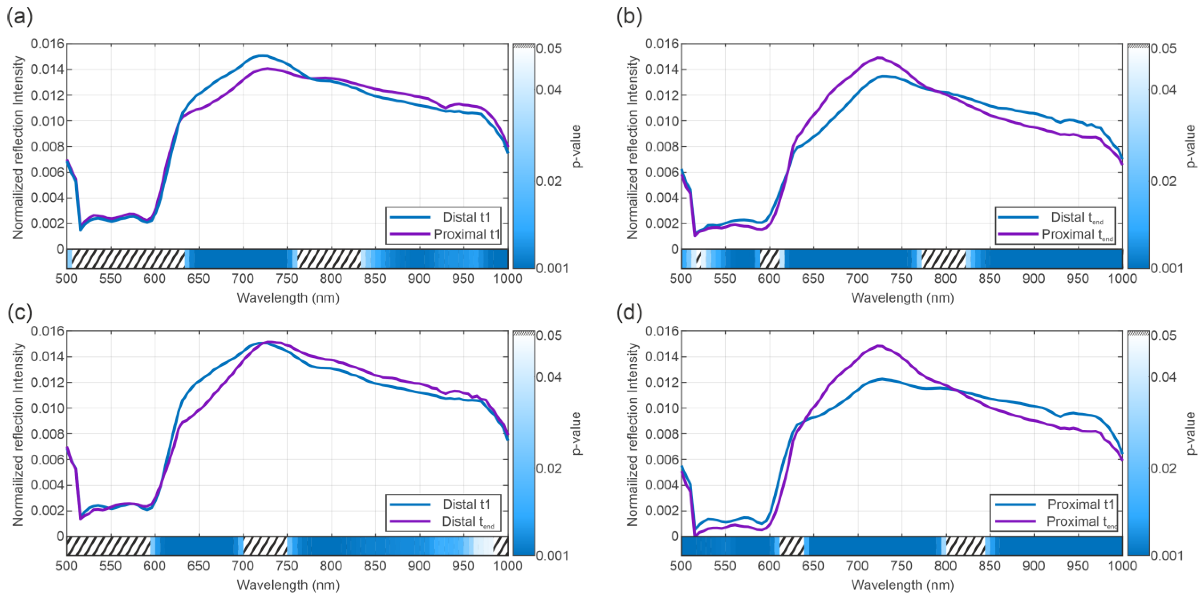 Bioengineering 12 00966 g004 Bioengineering 12 00966 g004