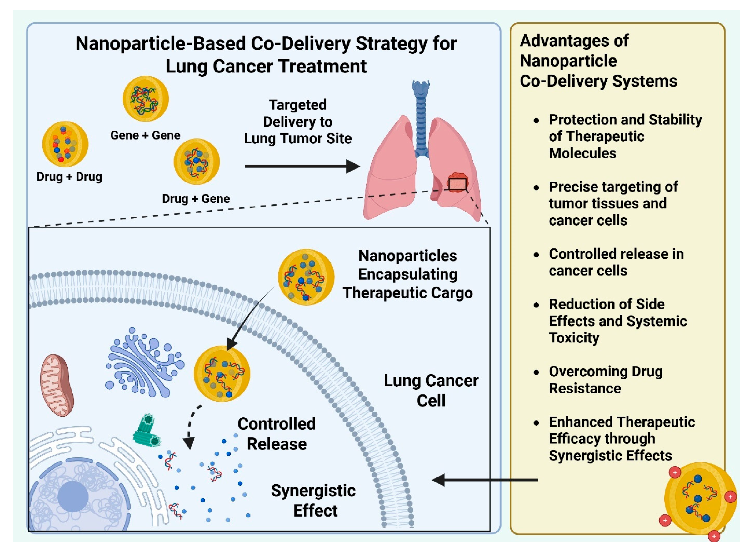Bioengineering 12 00968 g001