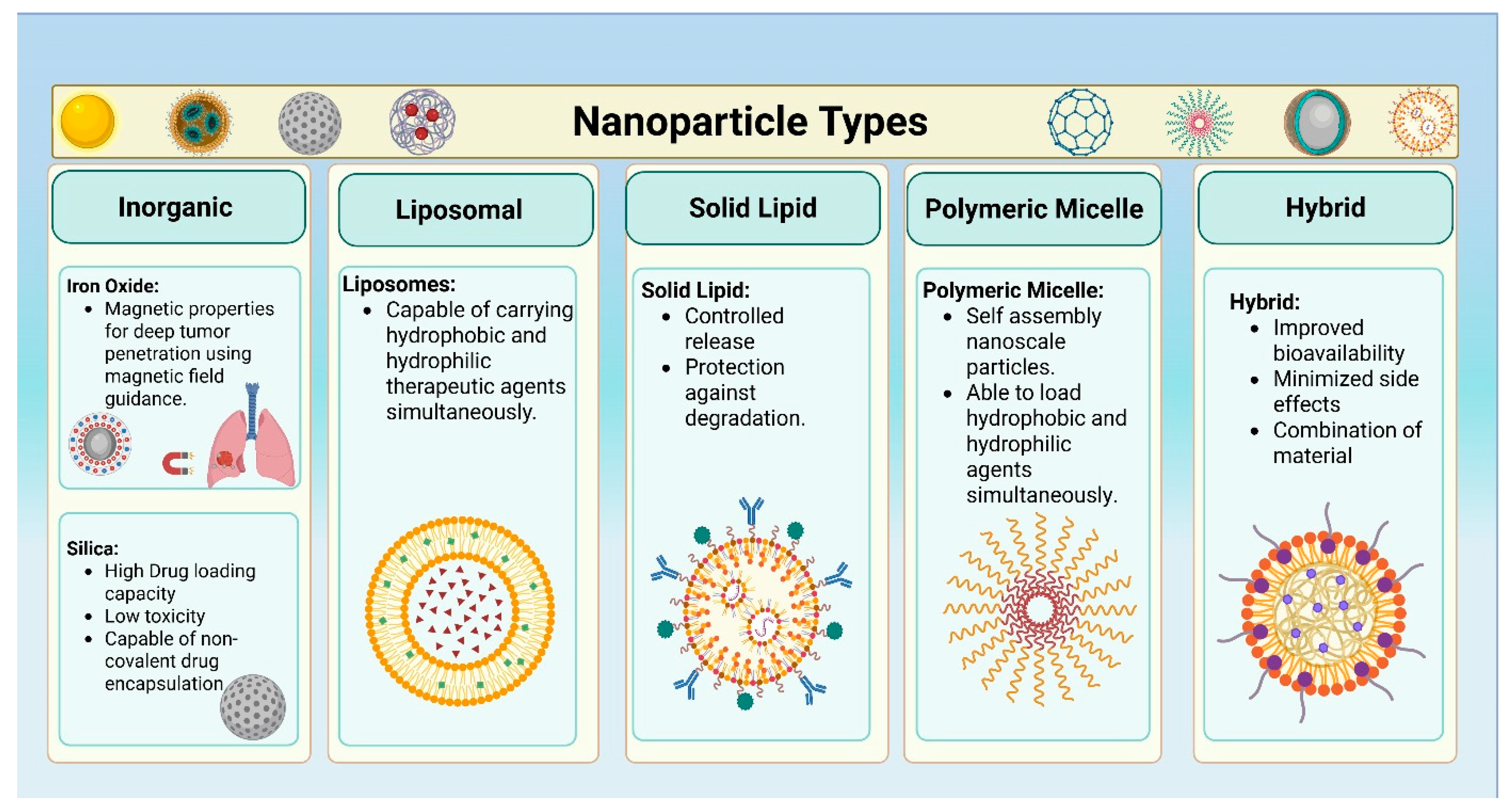Bioengineering 12 00968 g002
