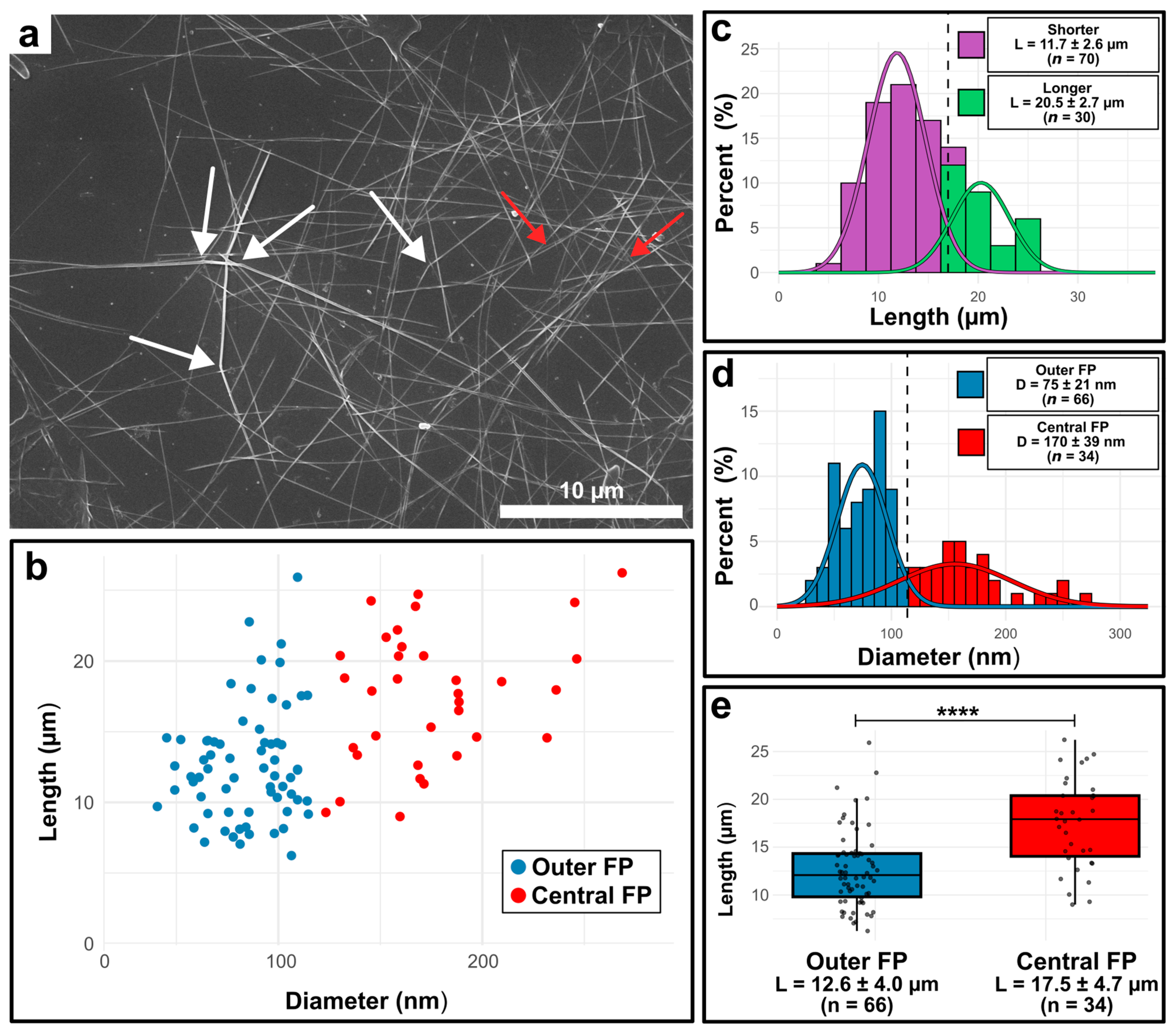 Bioengineering 12 00969 g002