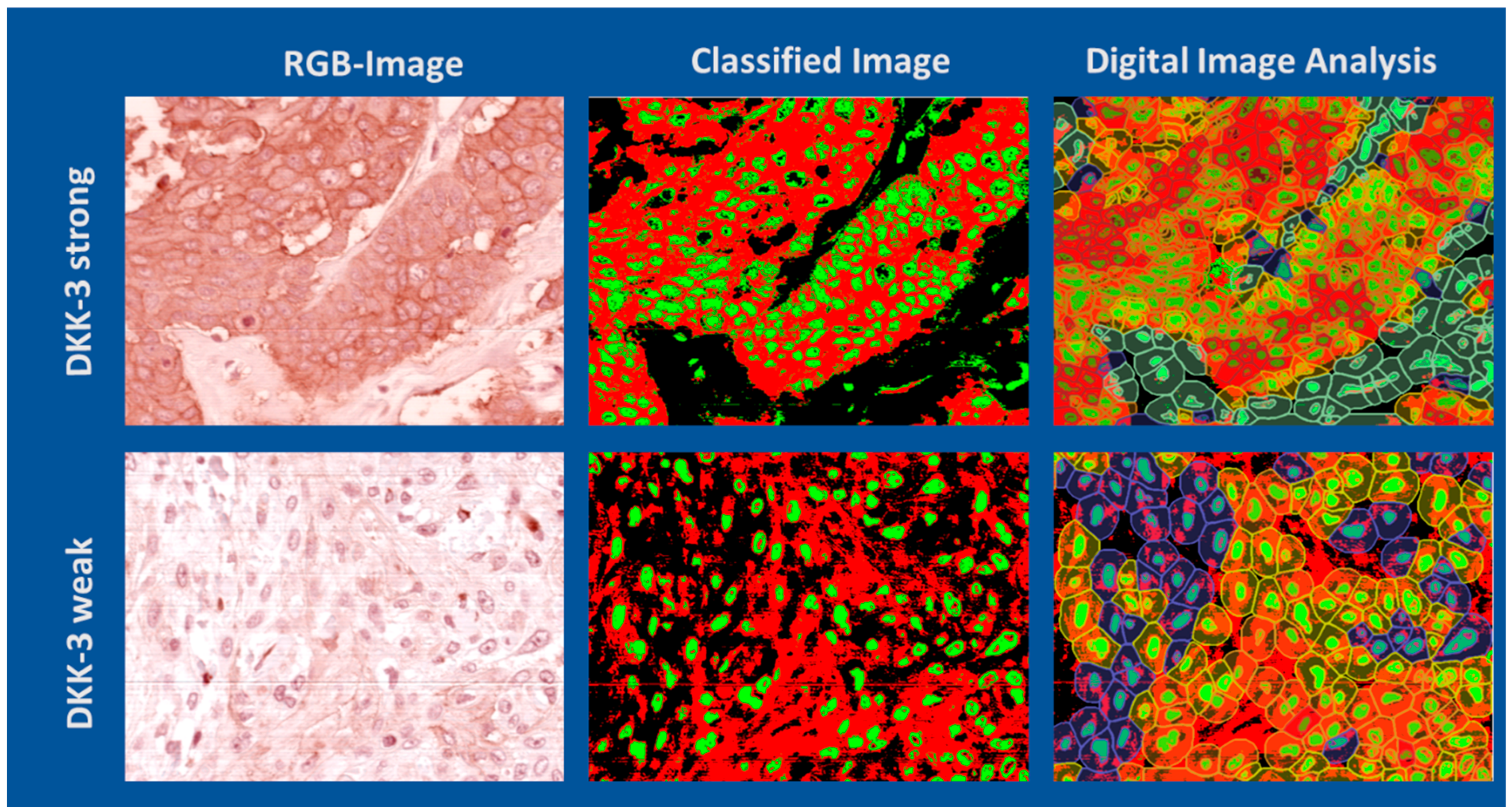 Bioengineering 12 00971 g005