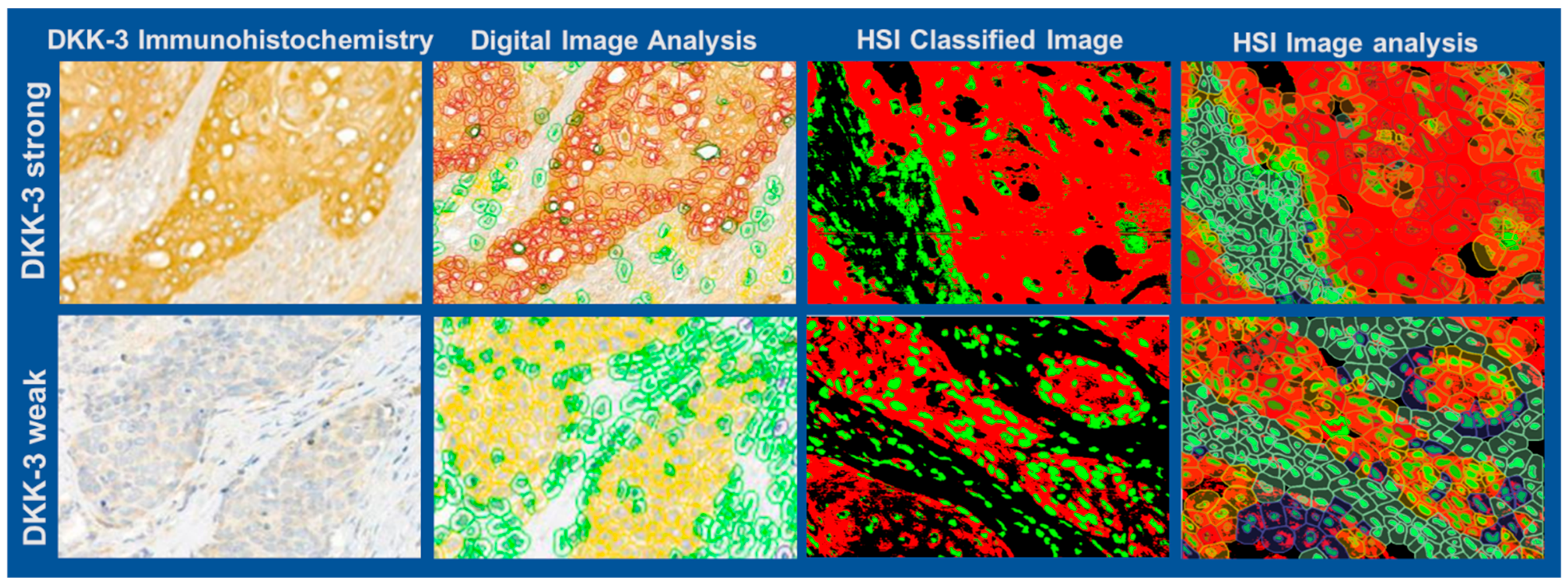 Bioengineering 12 00971 g006