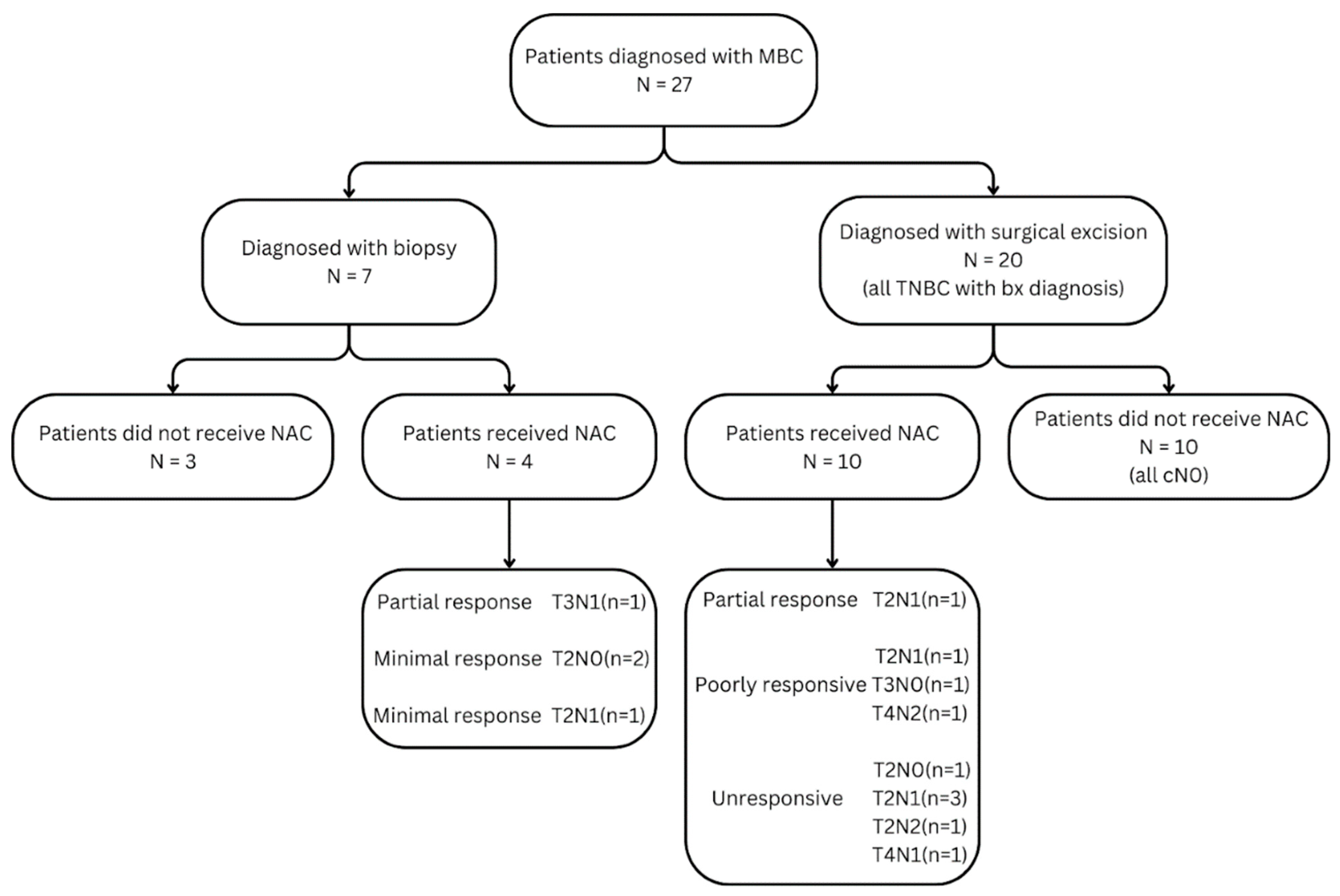 Bioengineering 12 00973 g002 Bioengineering 12 00973 g002
