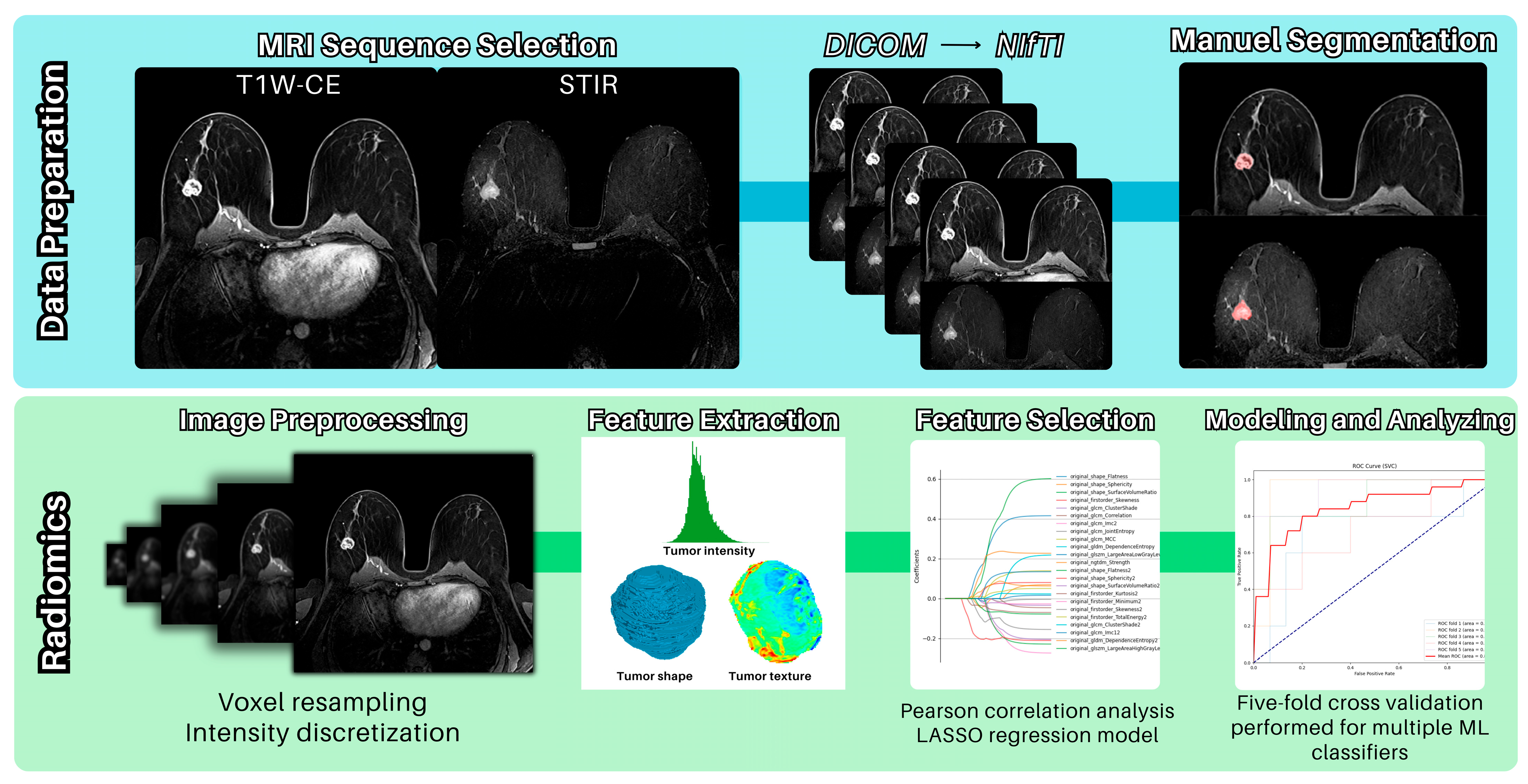 Bioengineering 12 00973 g004 Bioengineering 12 00973 g004