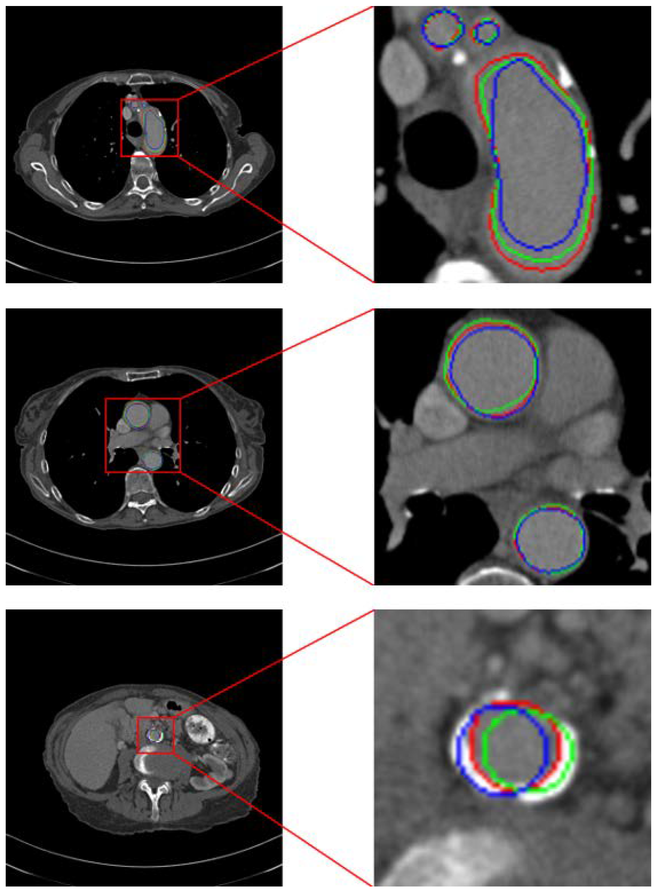Bioengineering 12 00974 g003