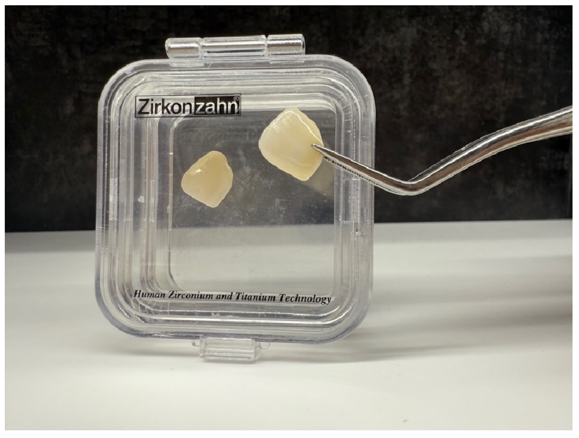 Bioengineering 12 00976 g001 Bioengineering 12 00976 g001