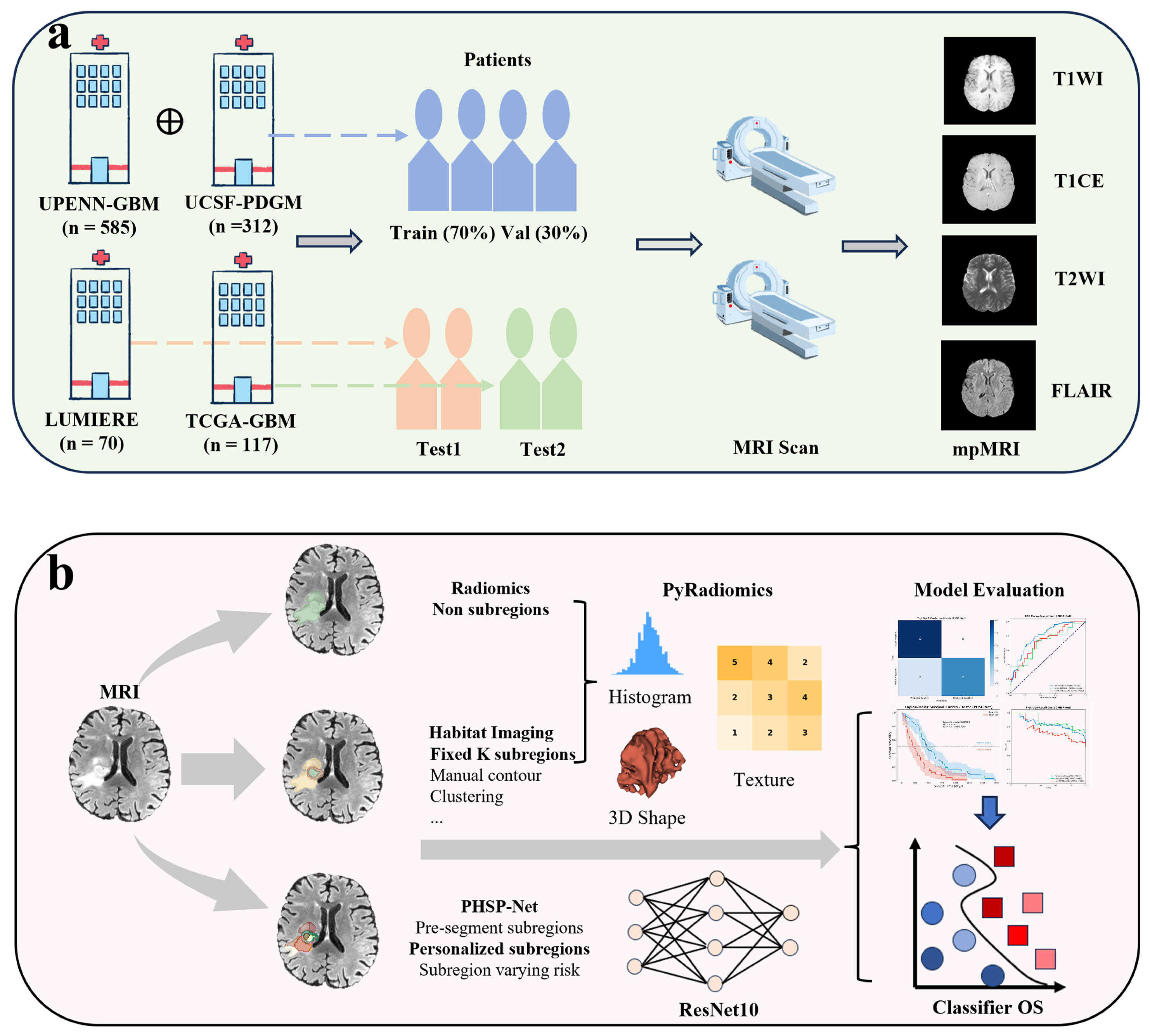 Bioengineering 12 00978 g002