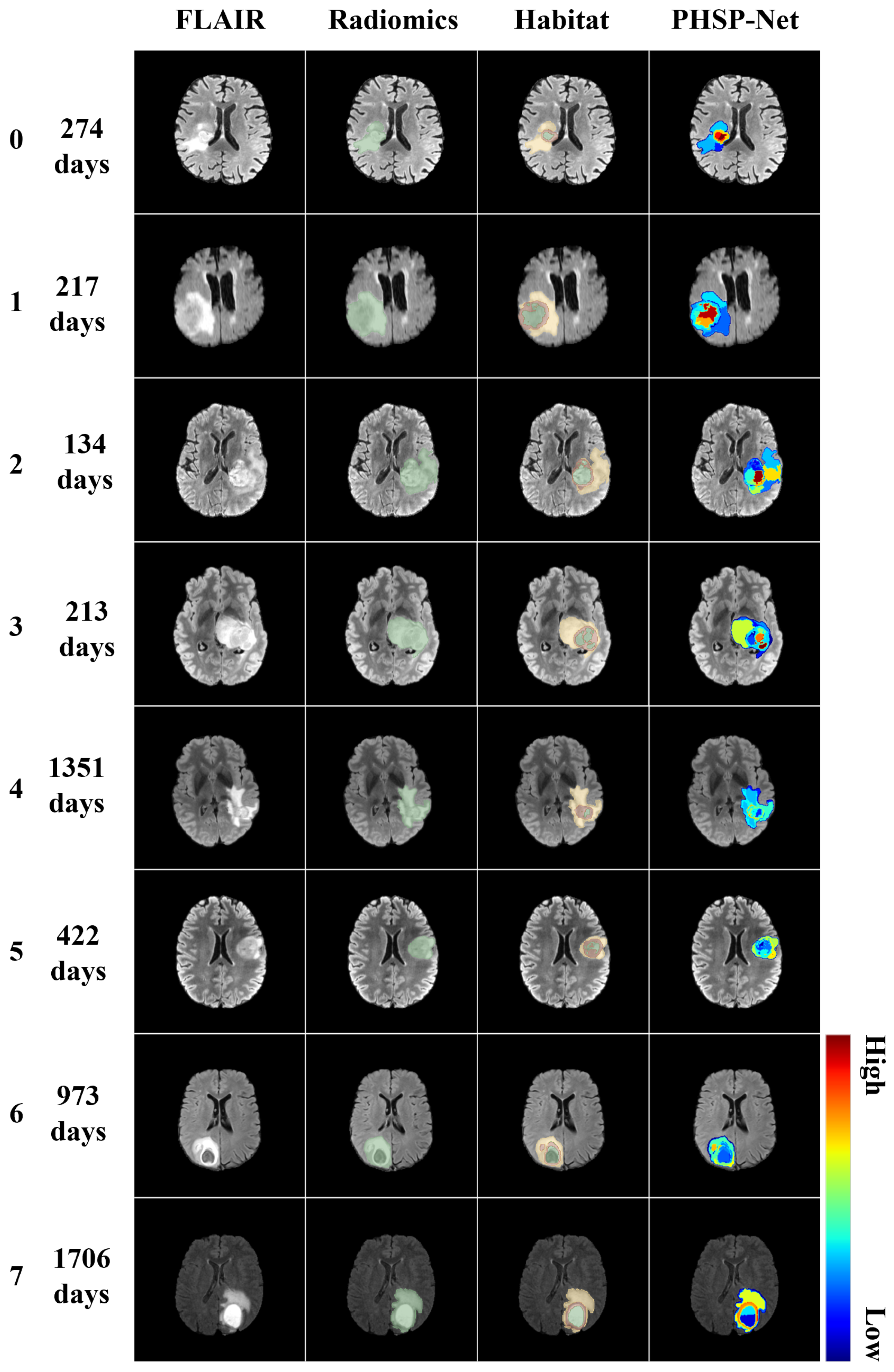 Bioengineering 12 00978 g007