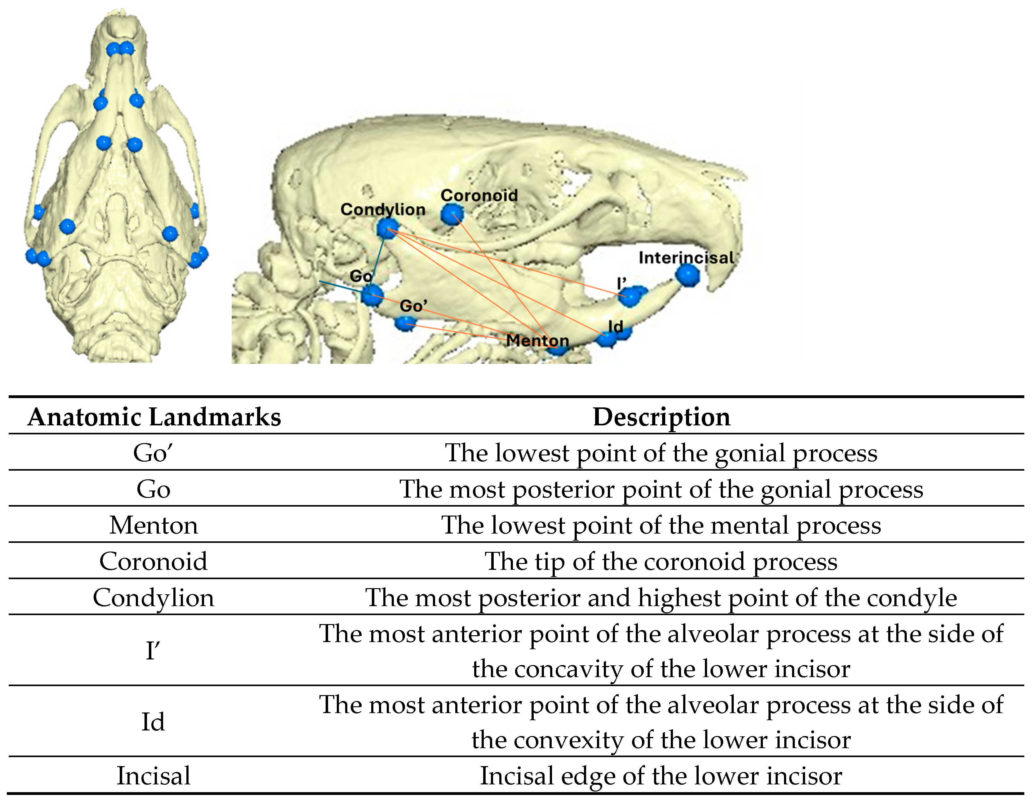 Bioengineering 12 00982 g002