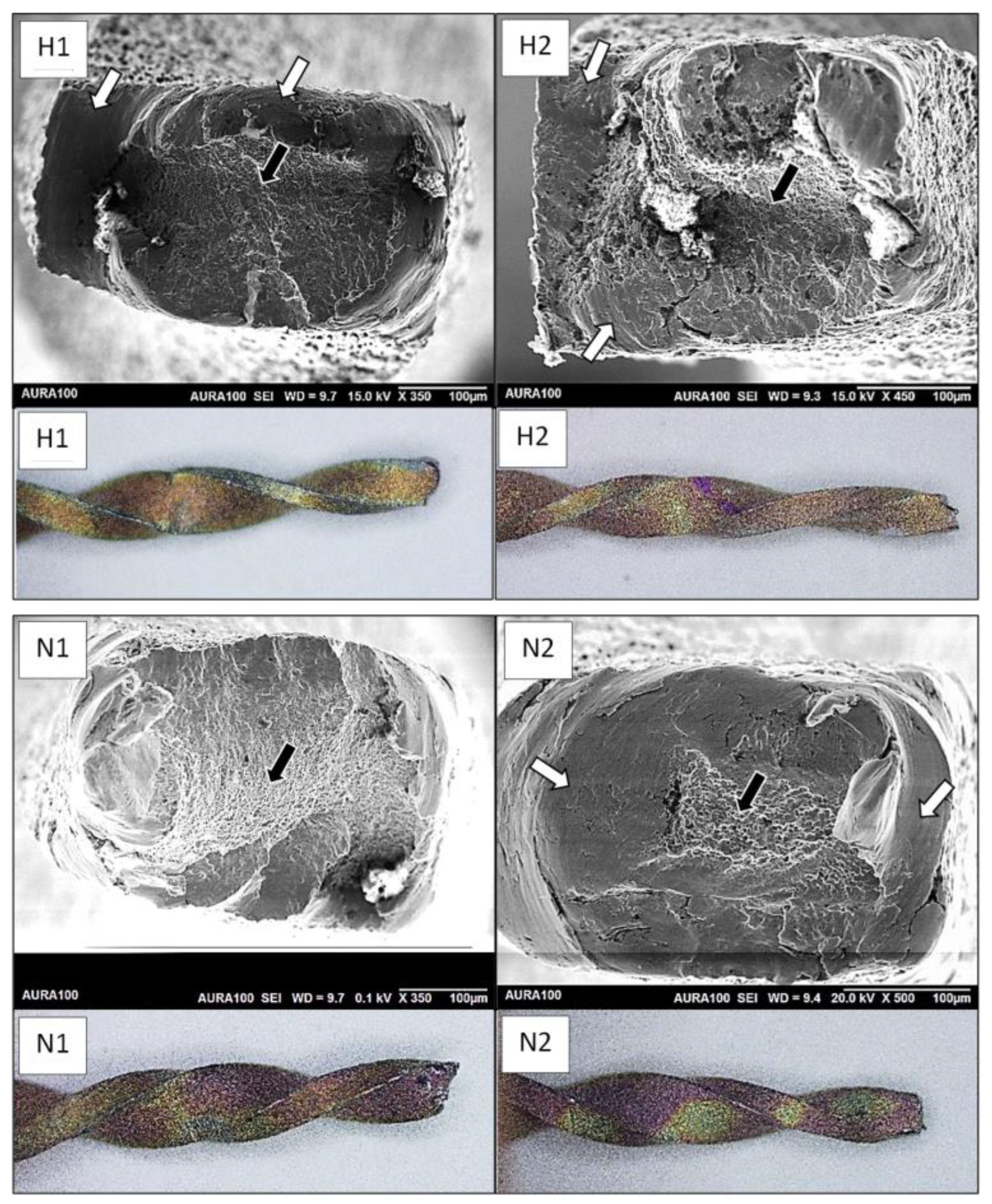 Bioengineering 12 00985 g001