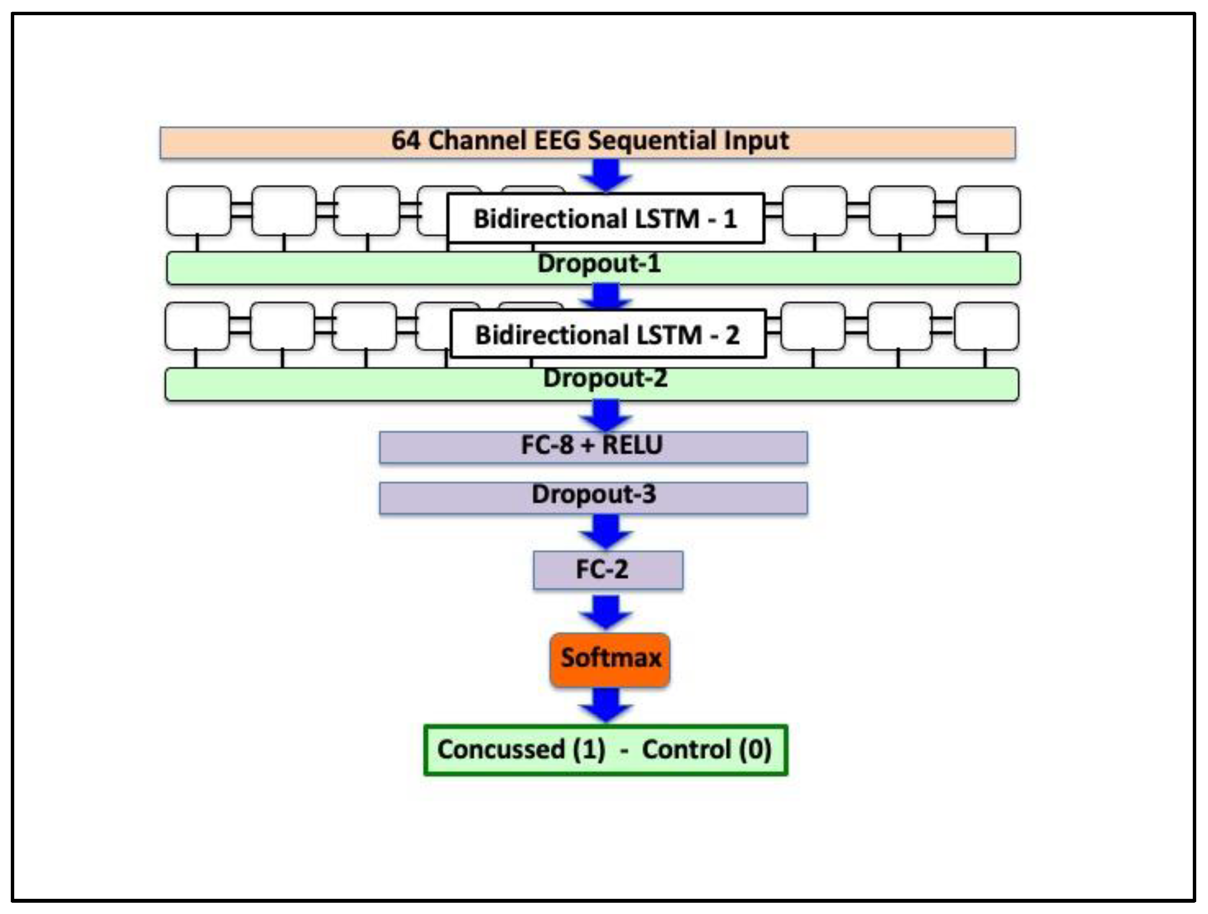 Bioengineering 12 00986 g001