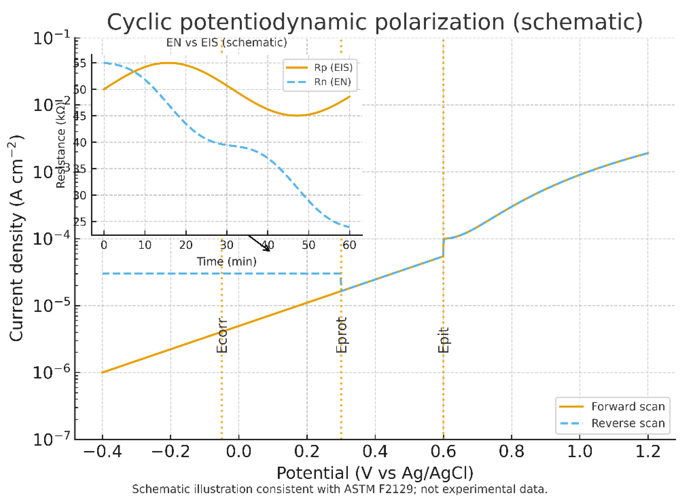 Bioengineering 12 00988 g004
