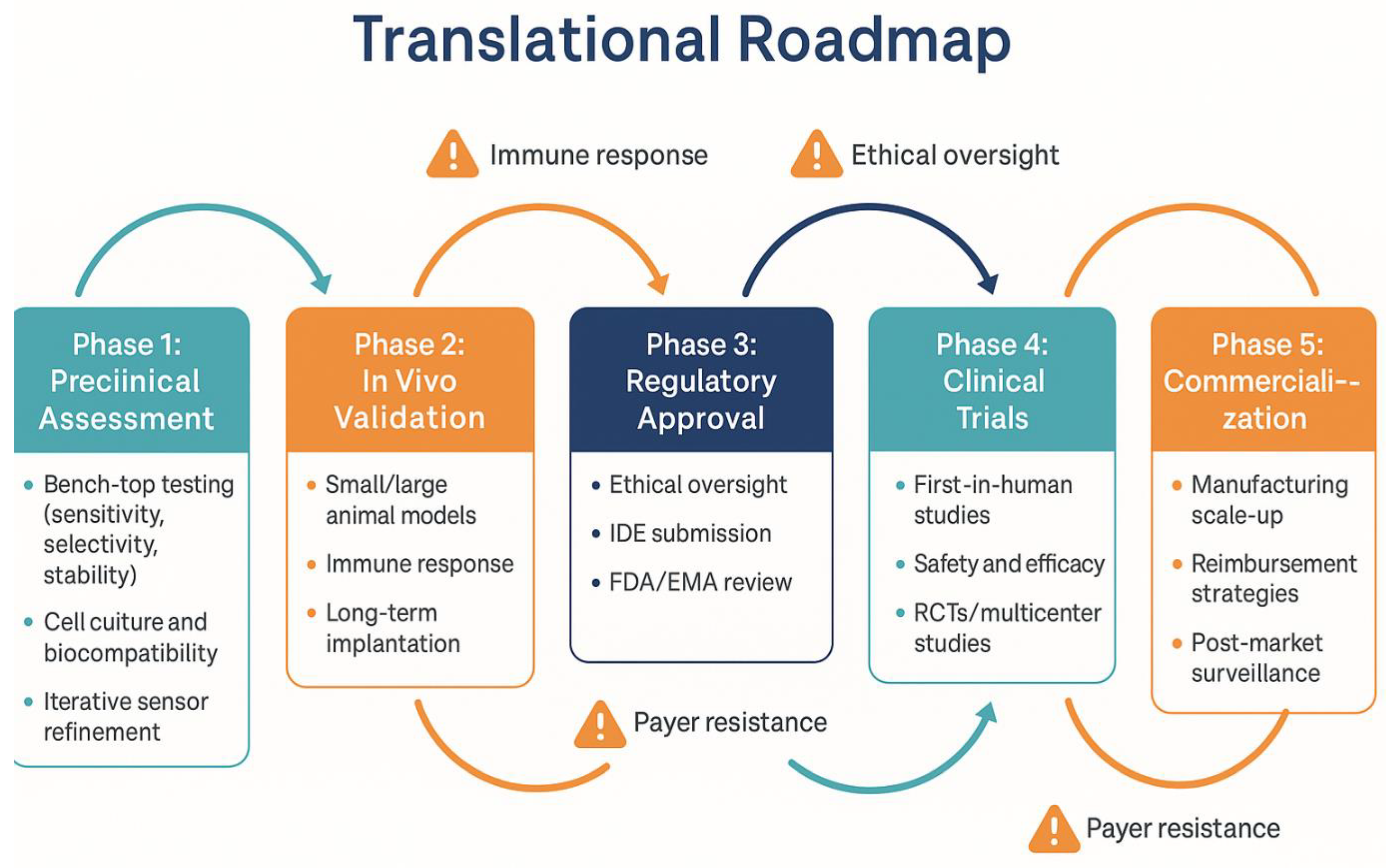 Bioengineering 12 00988 g006