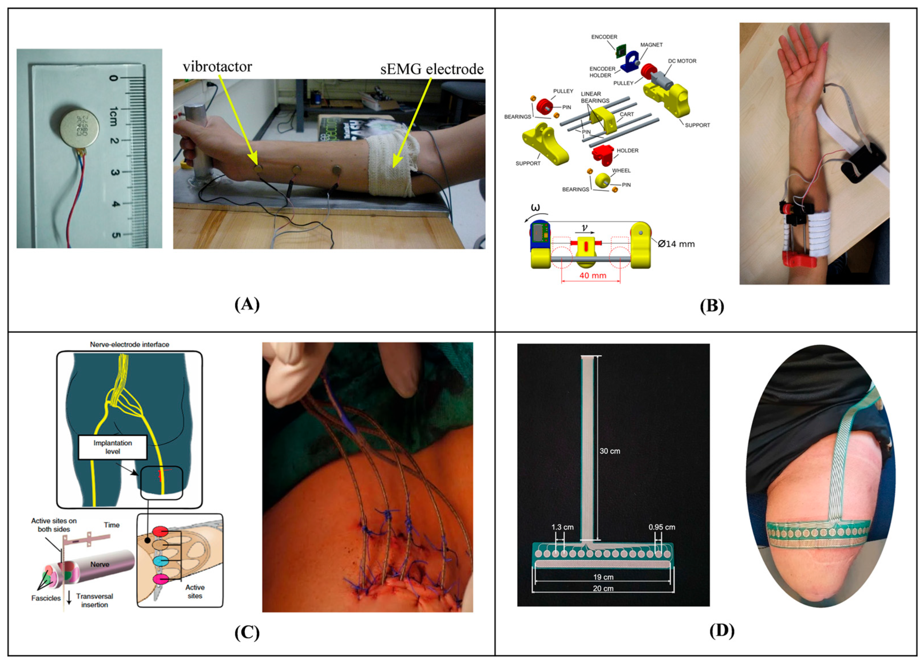 Bioengineering 12 00989 g001