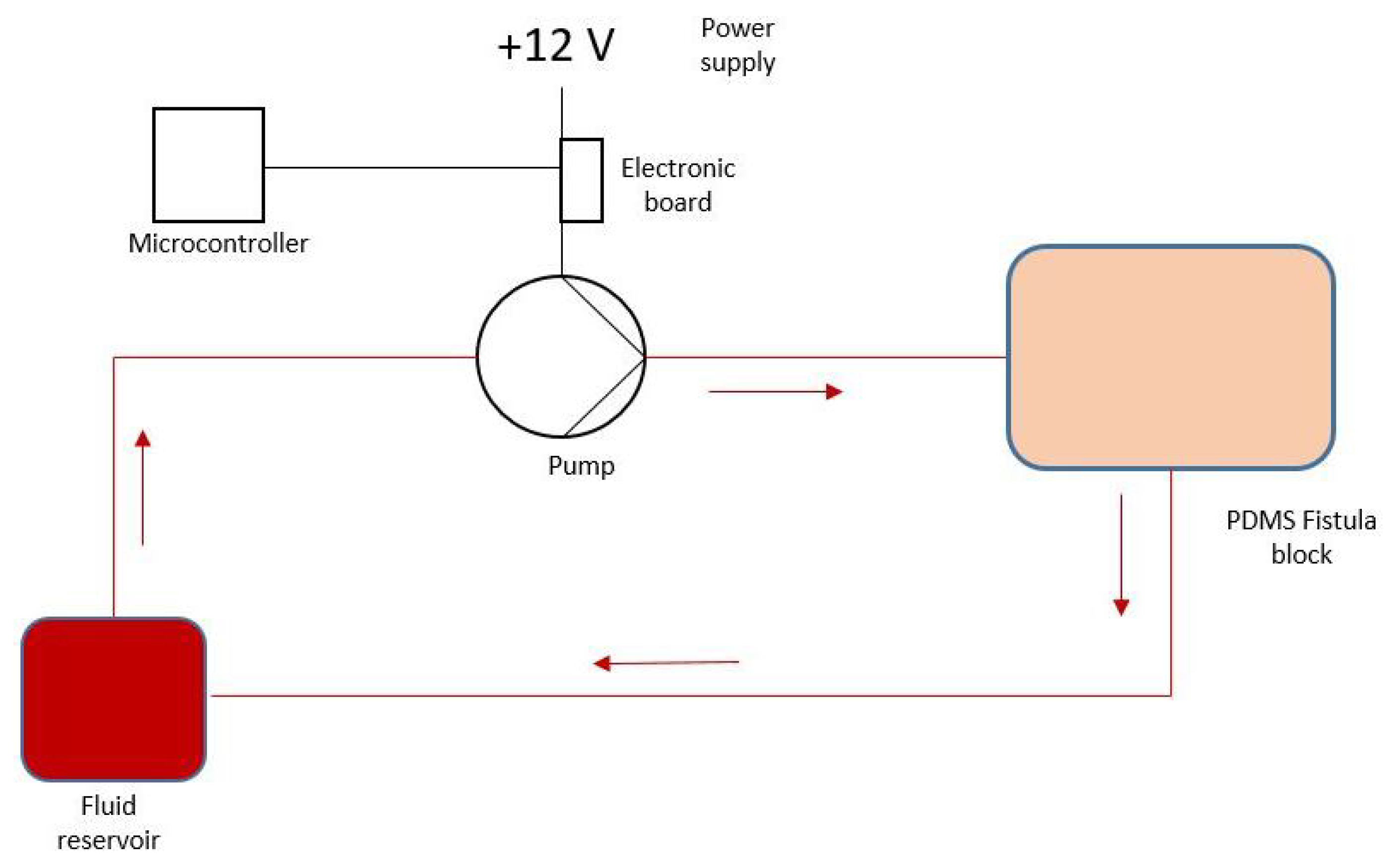 Bioengineering 12 00990 g001