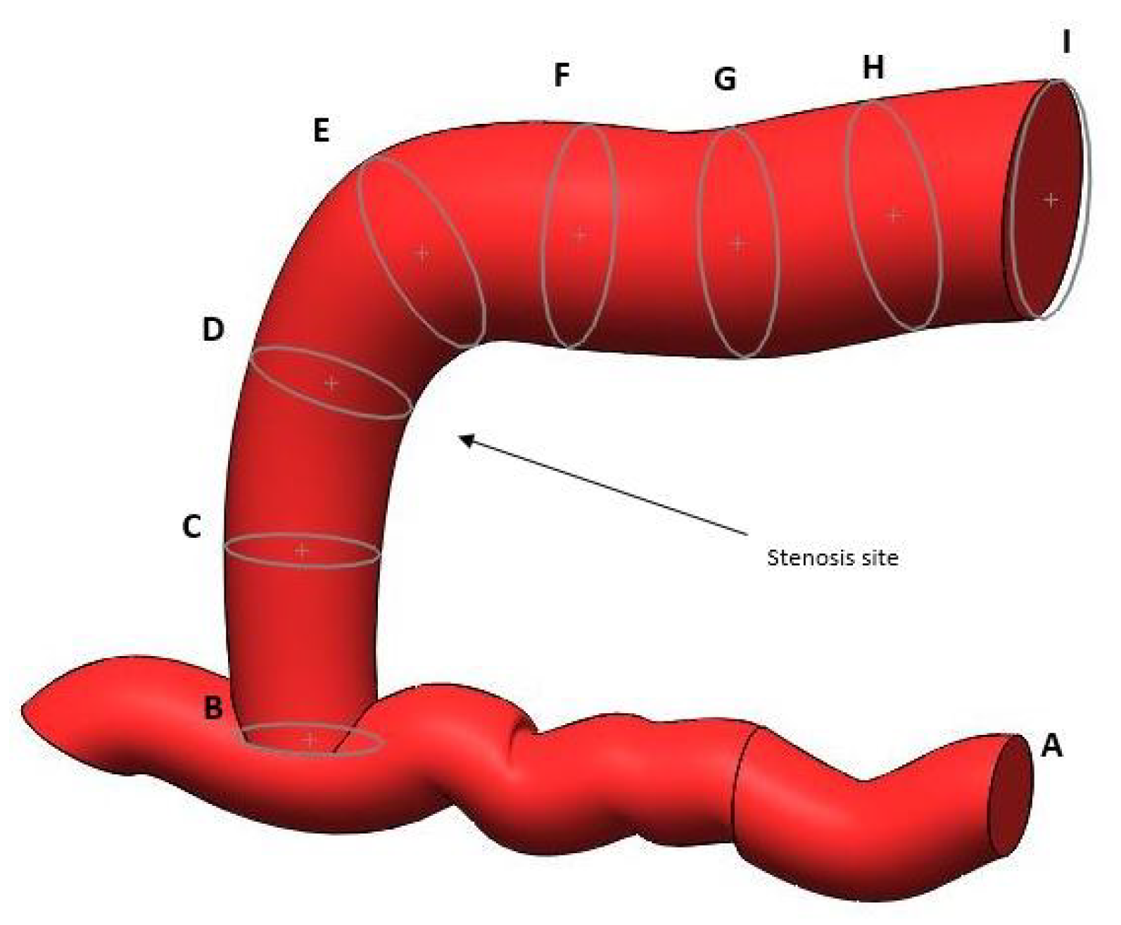 Bioengineering 12 00990 g002
