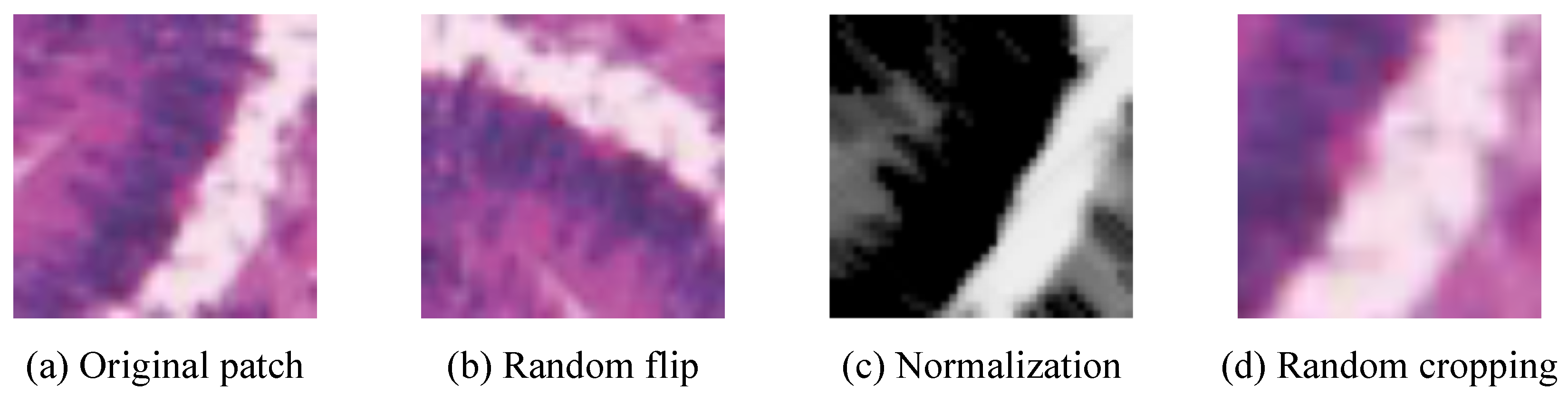 Bioengineering 12 00992 g006