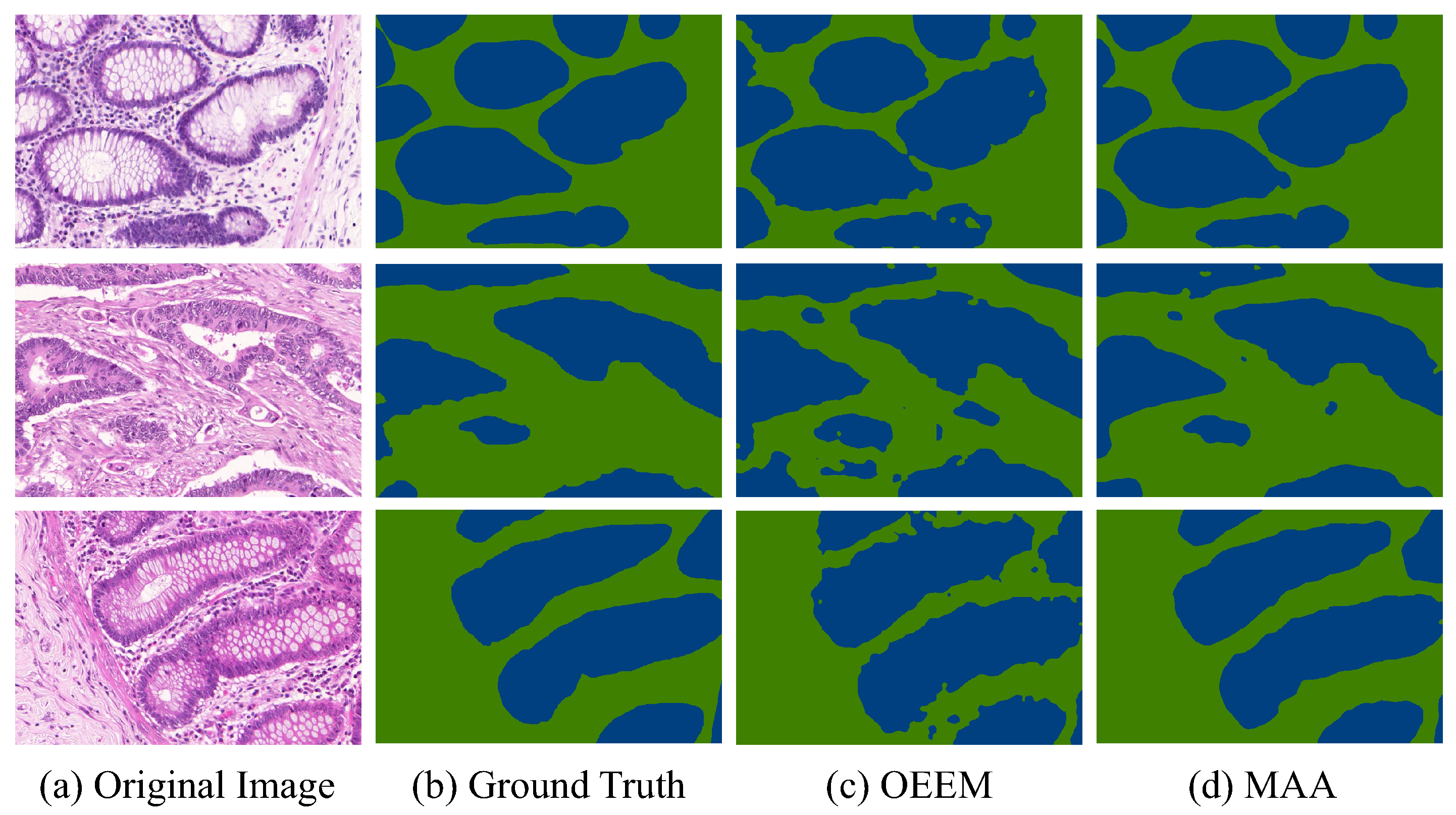 Bioengineering 12 00992 g007