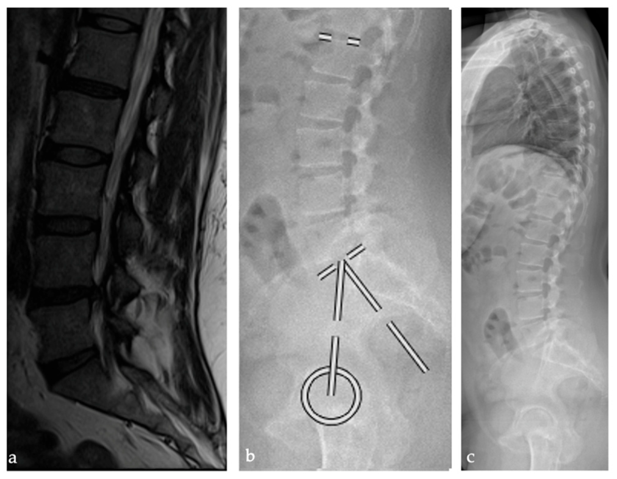 Bioengineering 12 00993 g002