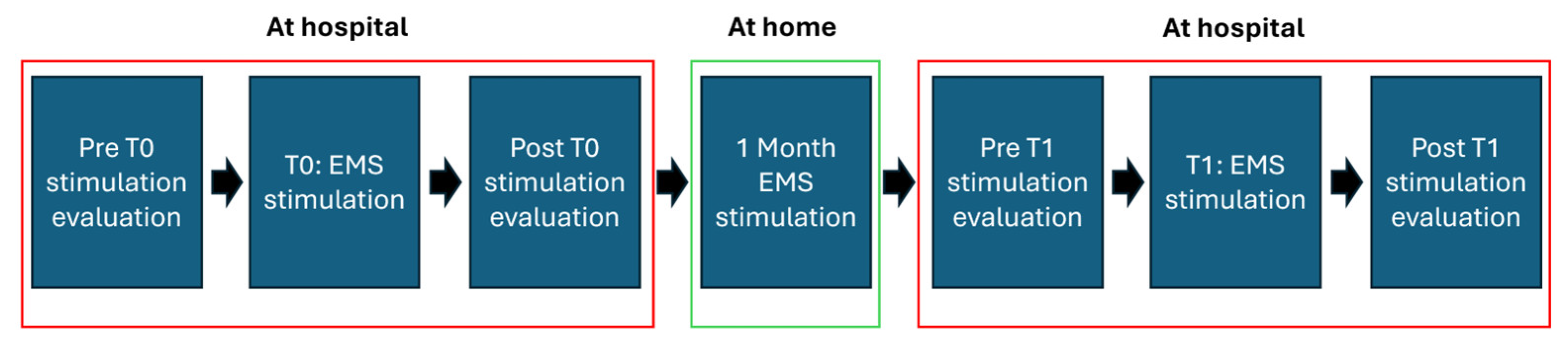 Bioengineering 12 00994 g001