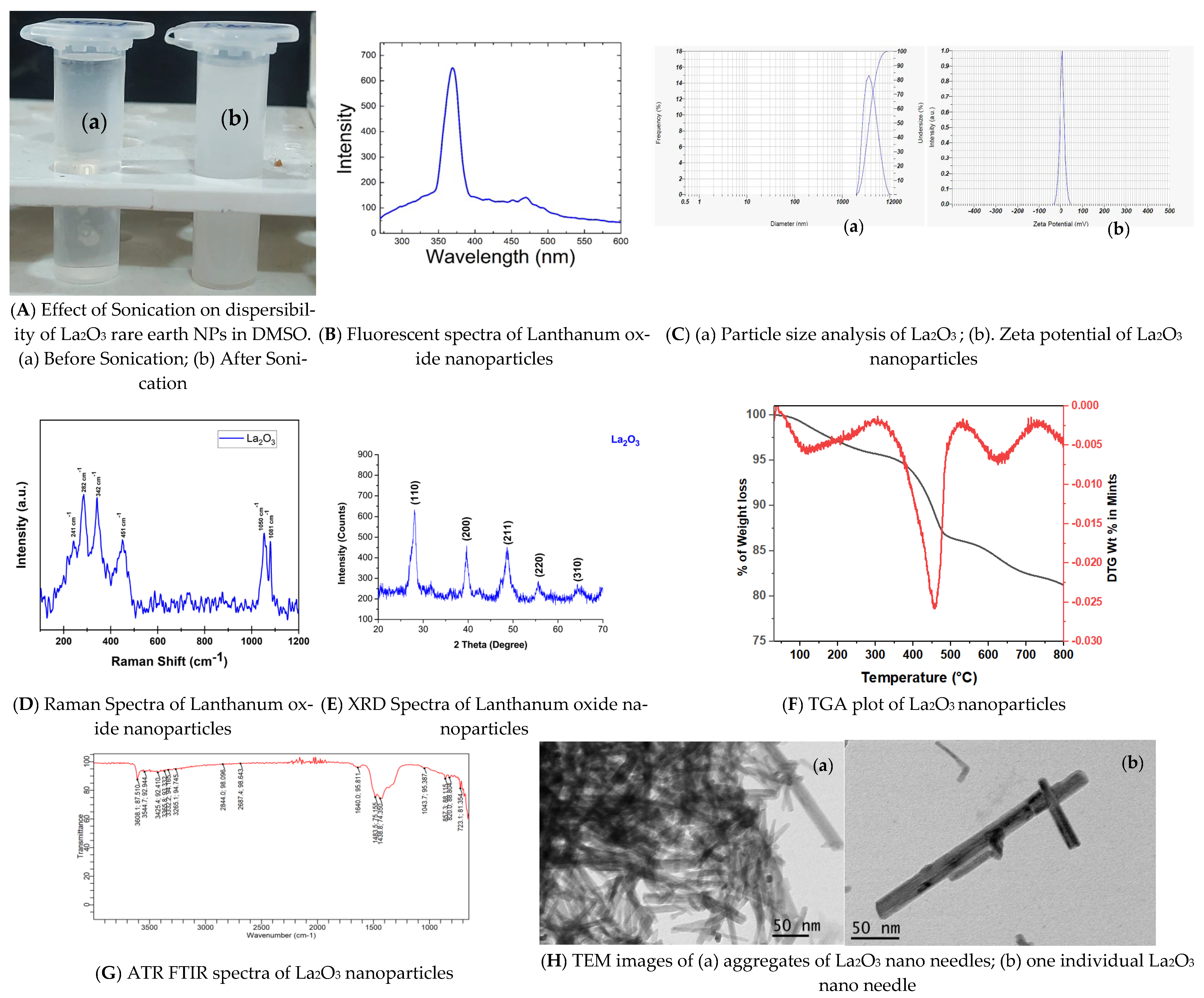 Bioengineering 12 00995 g001