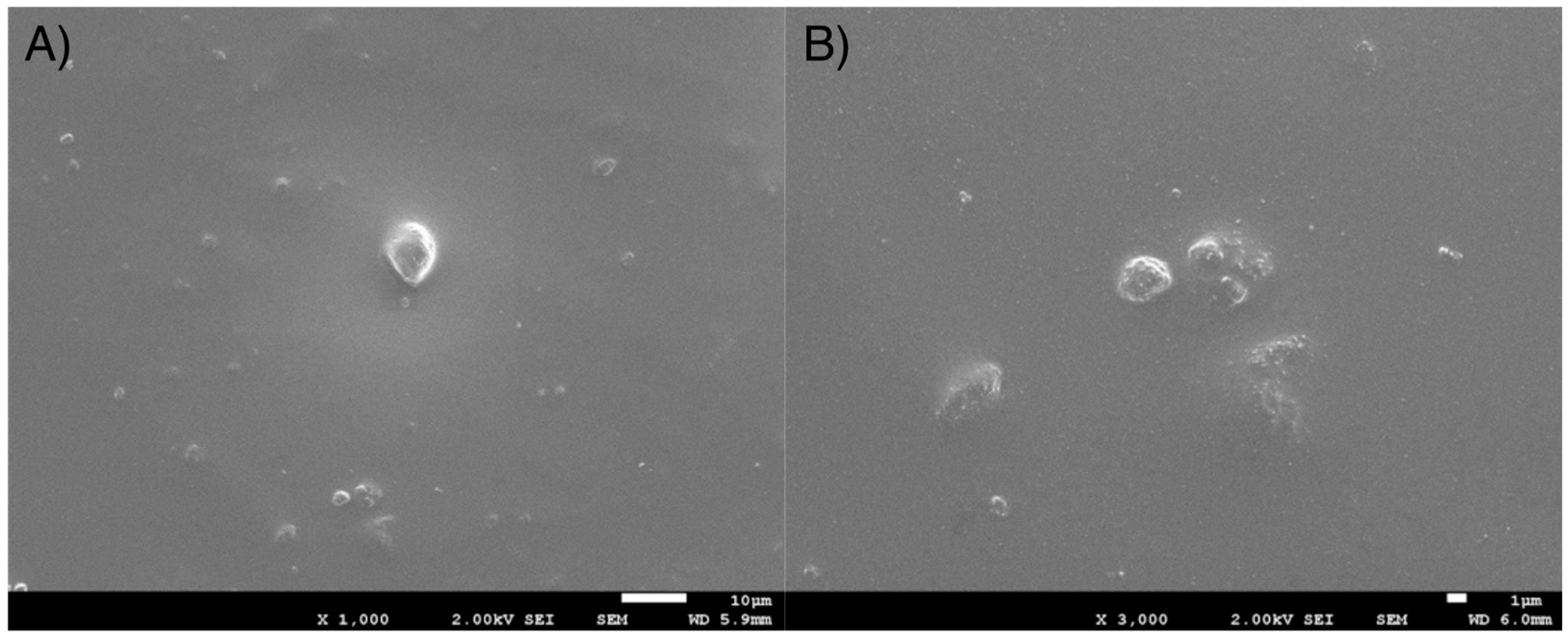 Bioengineering 12 00996 g003 Bioengineering 12 00996 g003