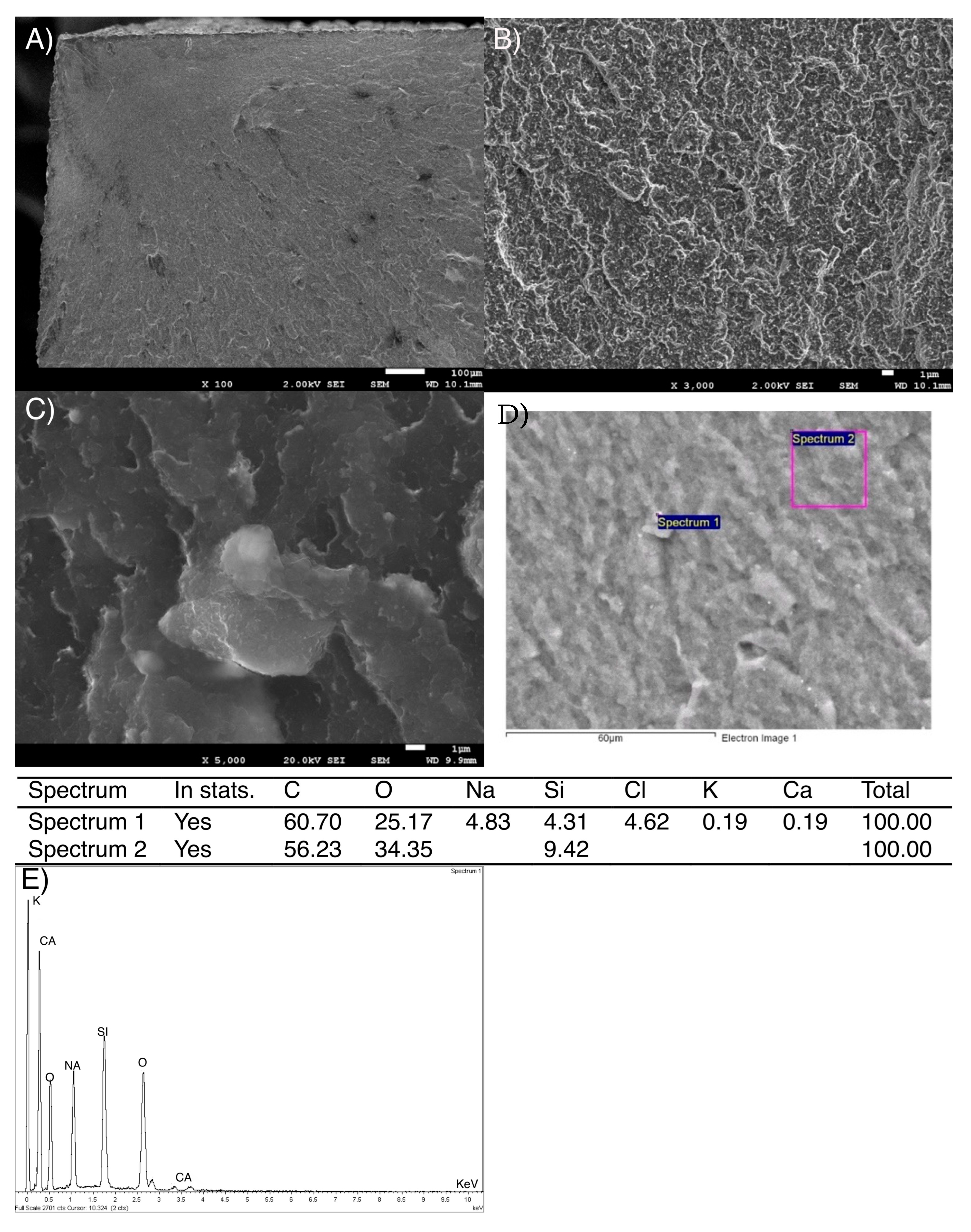 Bioengineering 12 00996 g005 Bioengineering 12 00996 g005