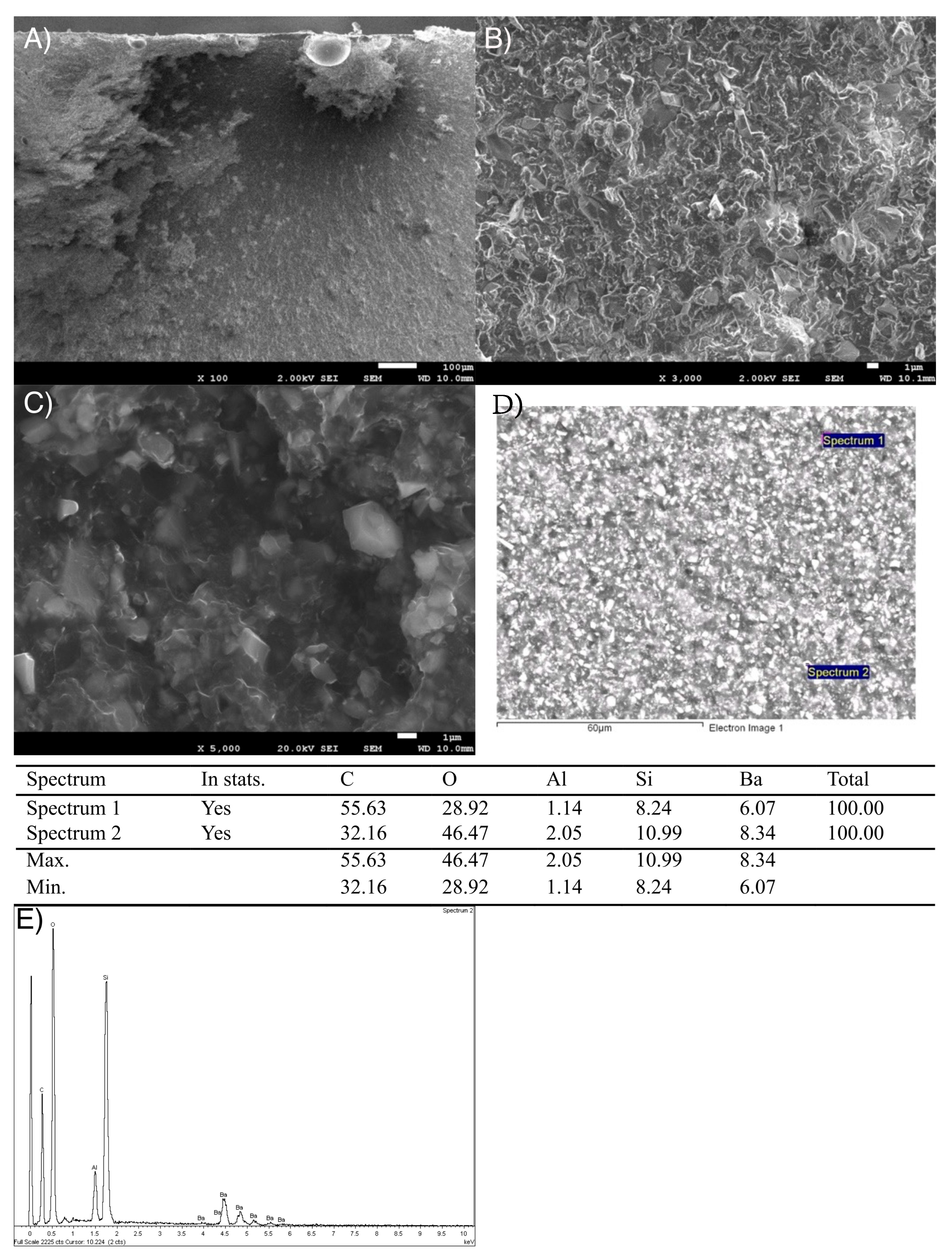 Bioengineering 12 00996 g006 Bioengineering 12 00996 g006
