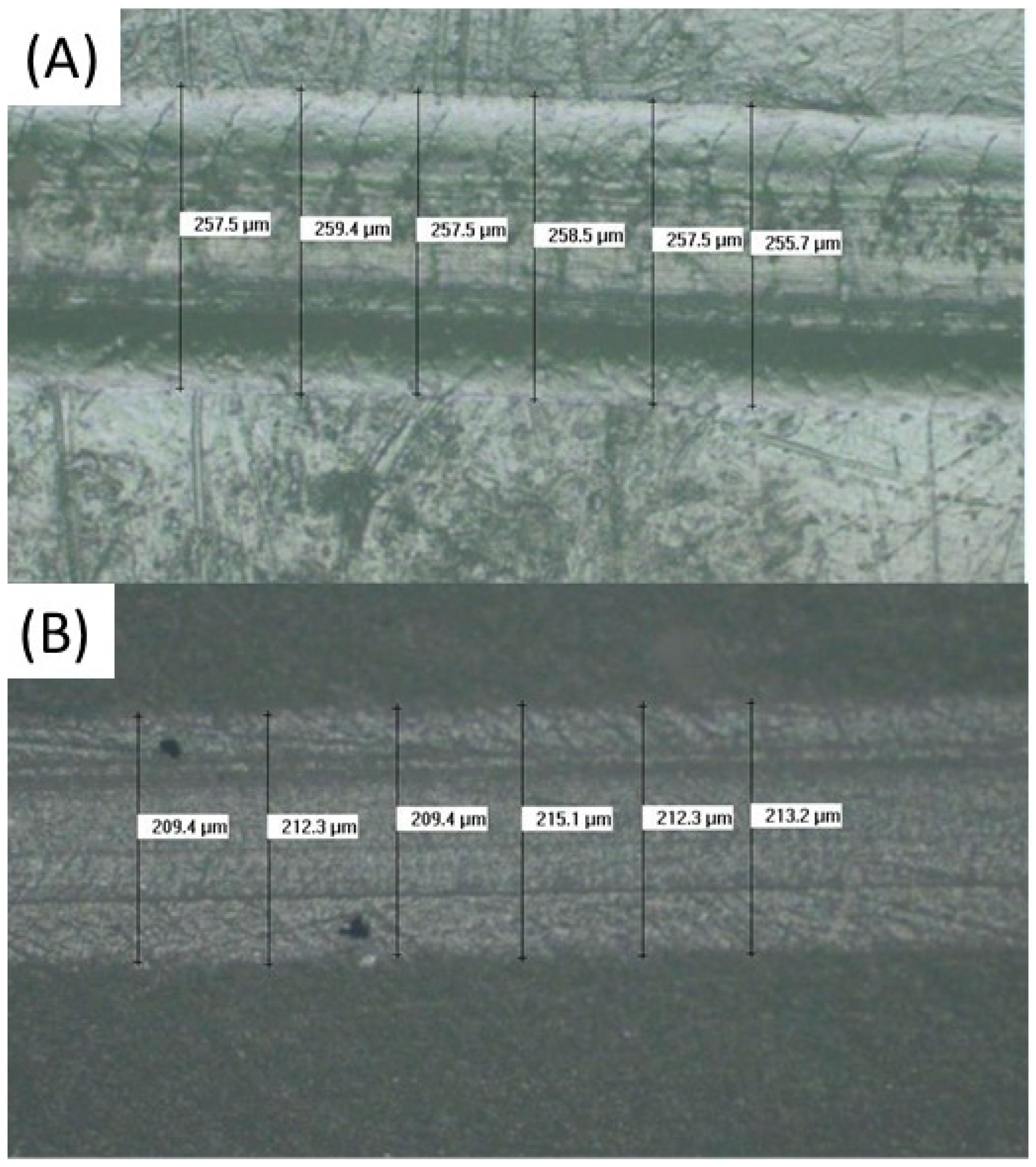Bioengineering 12 00996 g008 Bioengineering 12 00996 g008