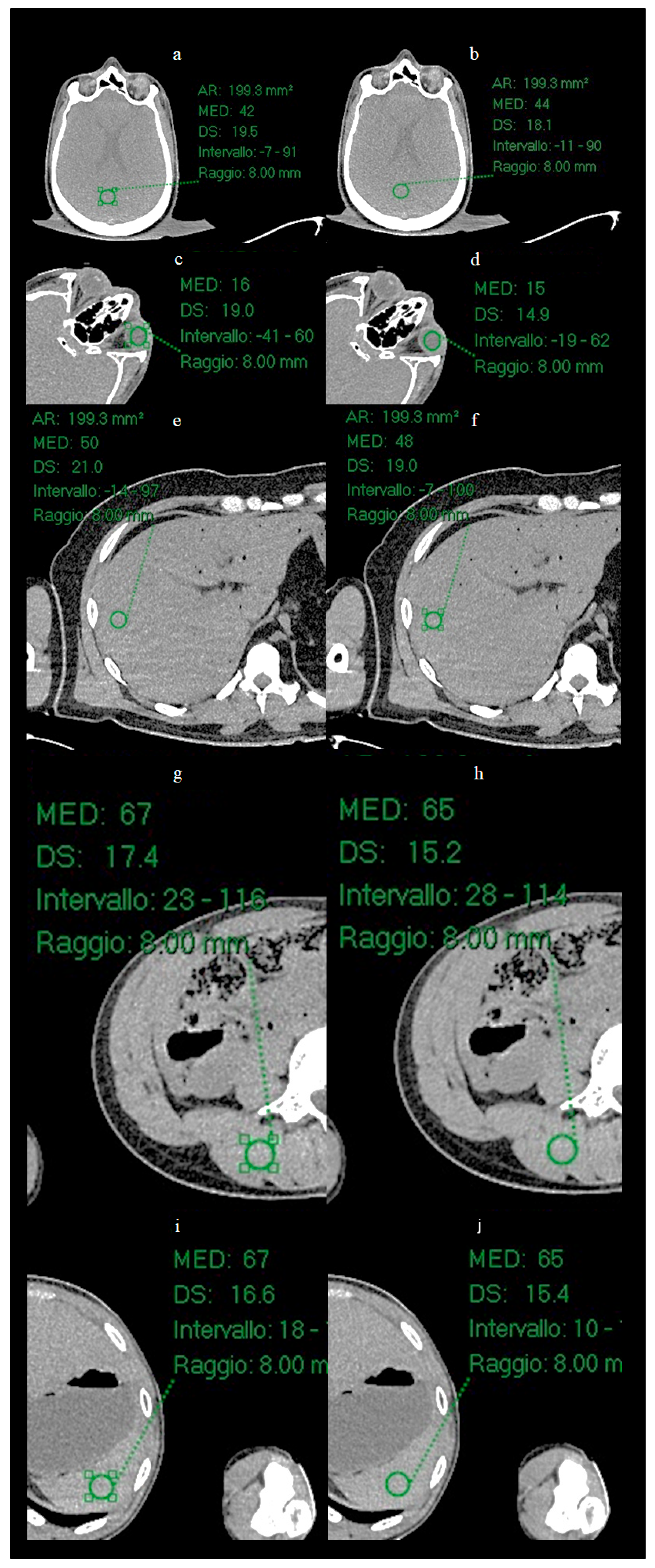 Bioengineering 12 00997 g006
