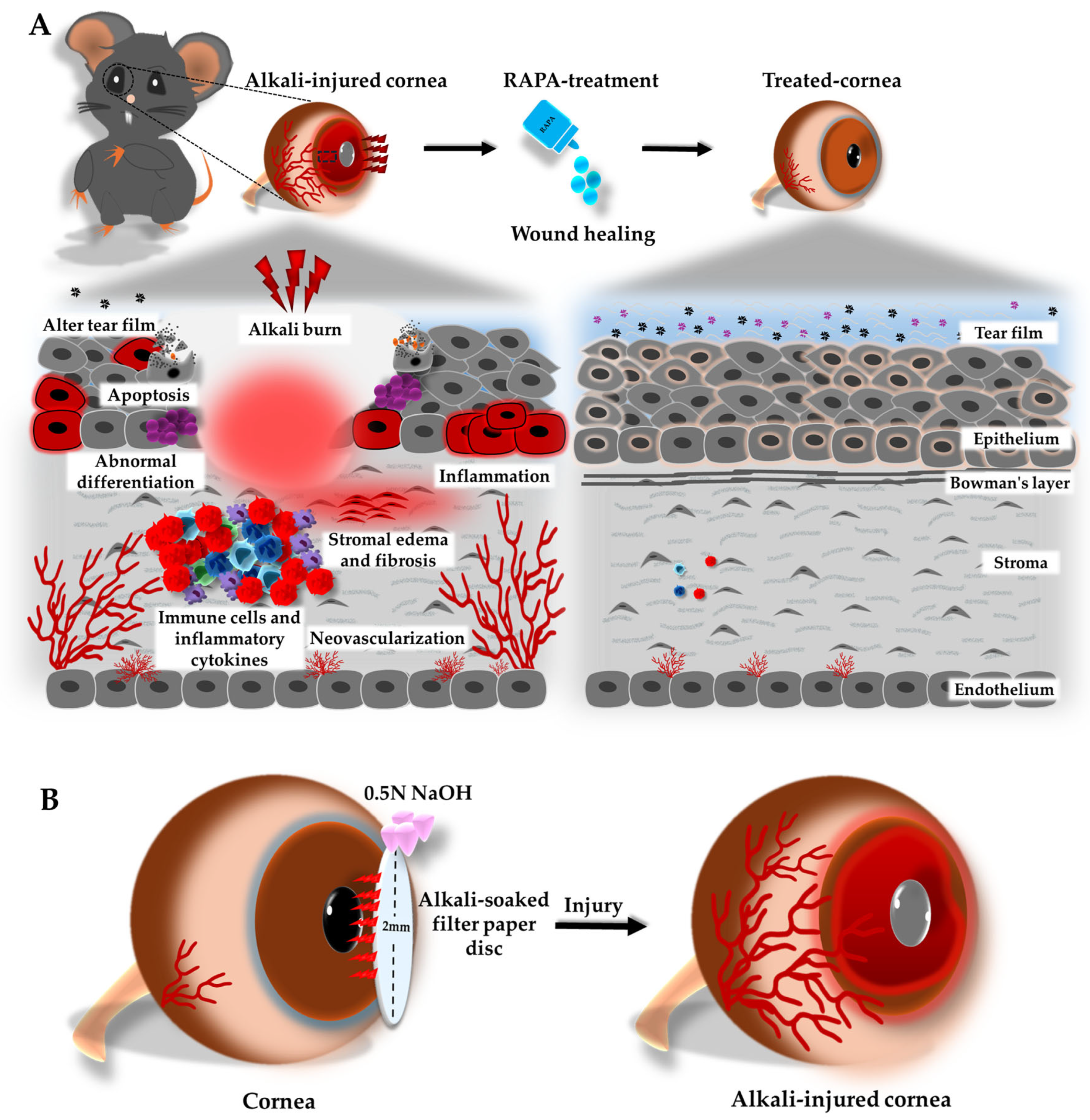 Bioengineering 12 00998 g001