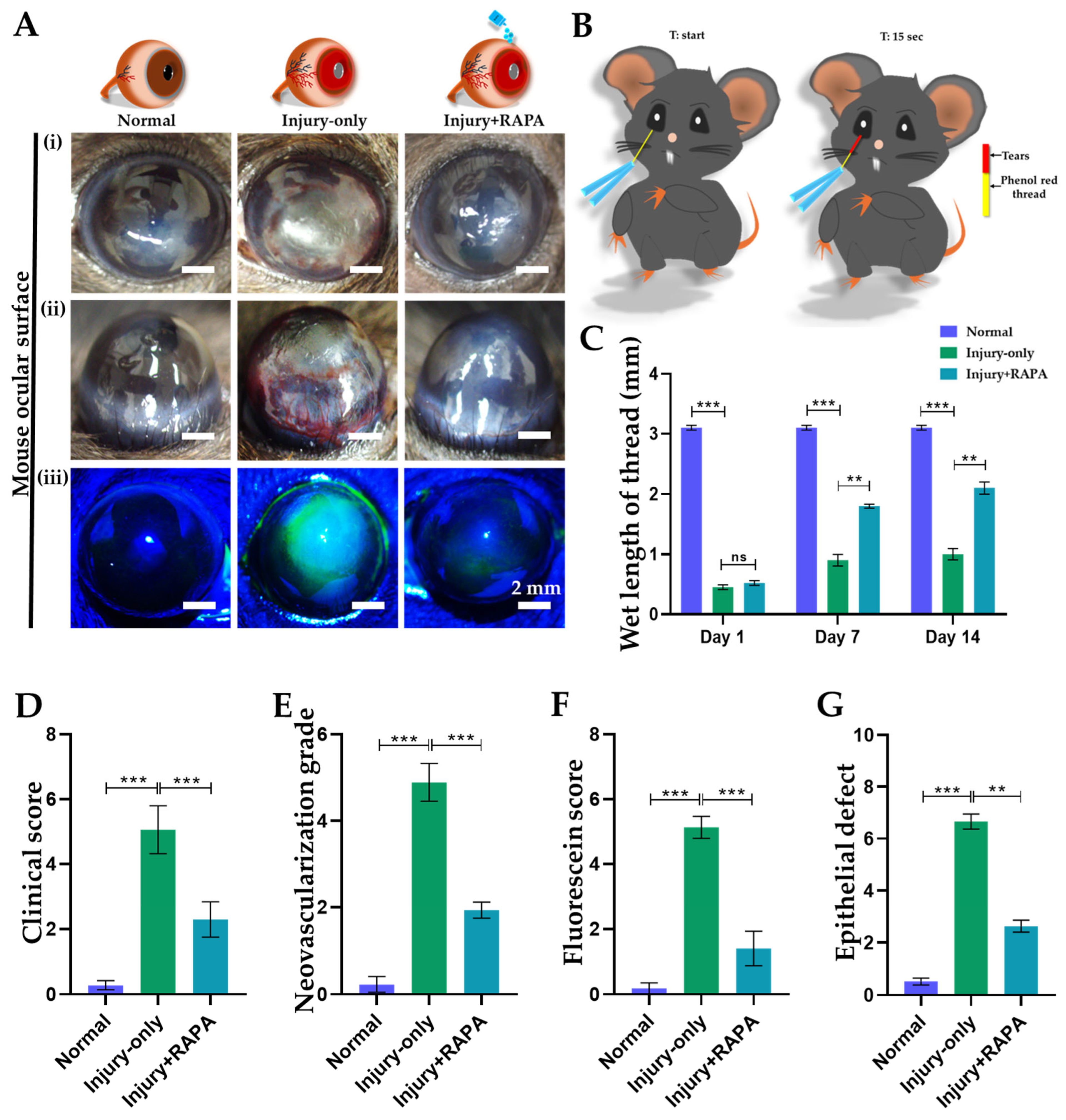 Bioengineering 12 00998 g002