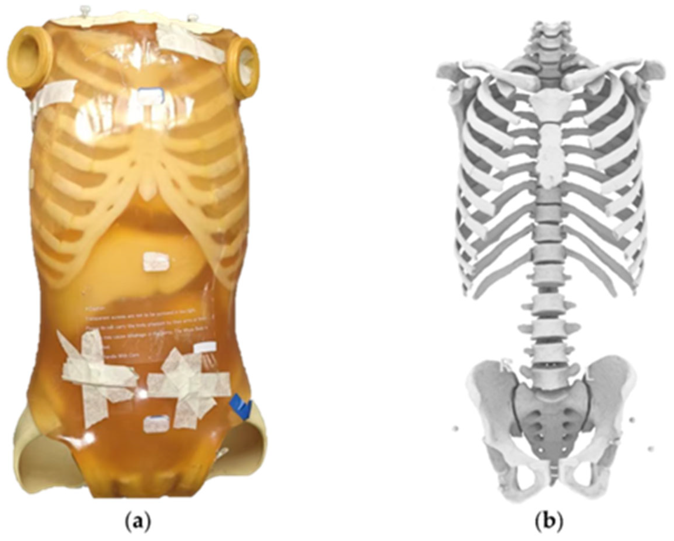 Bioengineering 12 00999 g001 Bioengineering 12 00999 g001