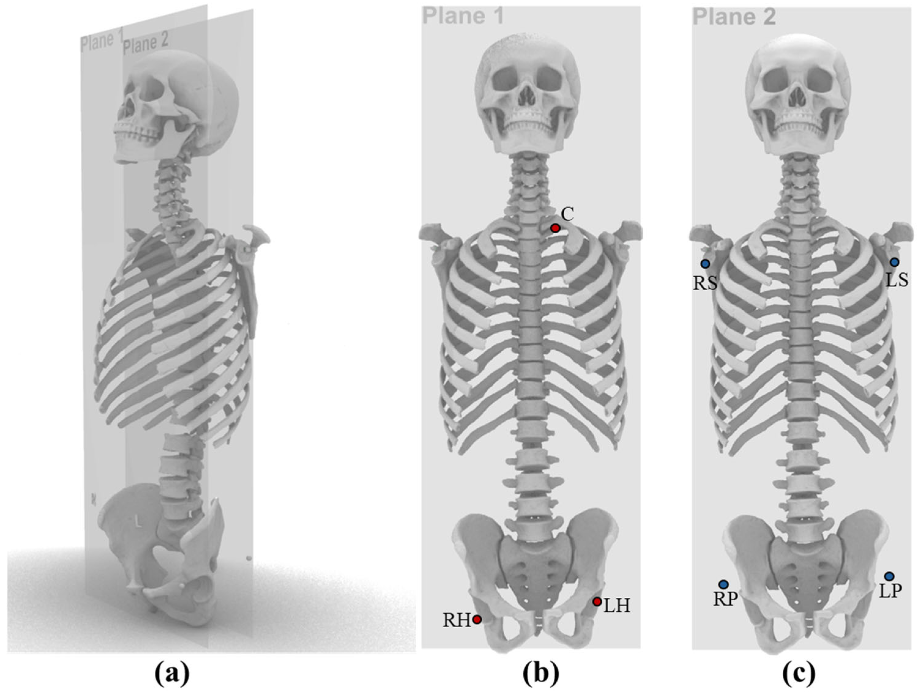 Bioengineering 12 00999 g002 Bioengineering 12 00999 g002