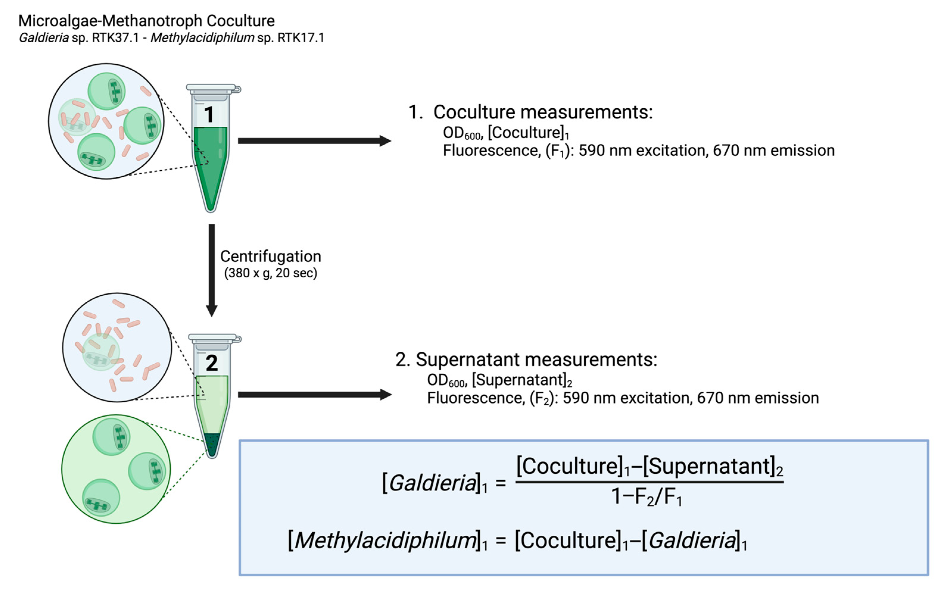 Bioengineering 12 01000 g001