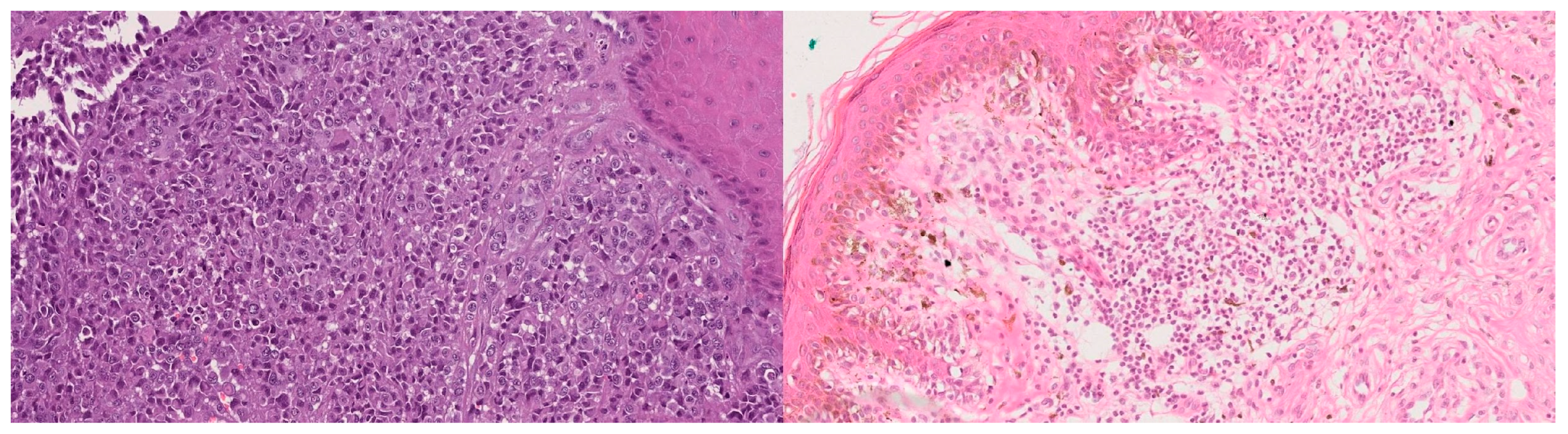 Bioengineering 12 01001 g001