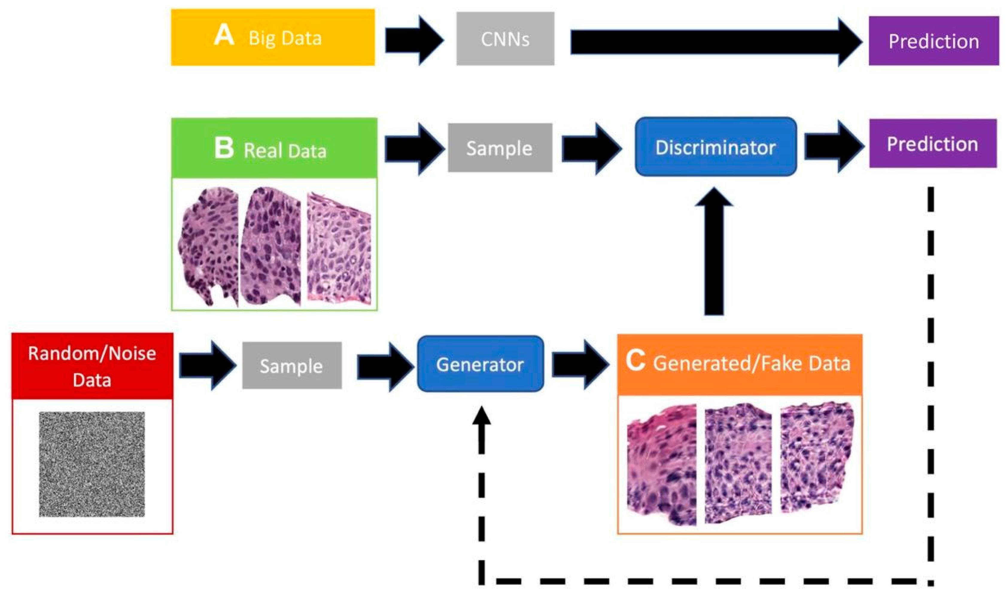 Bioengineering 12 01001 g002