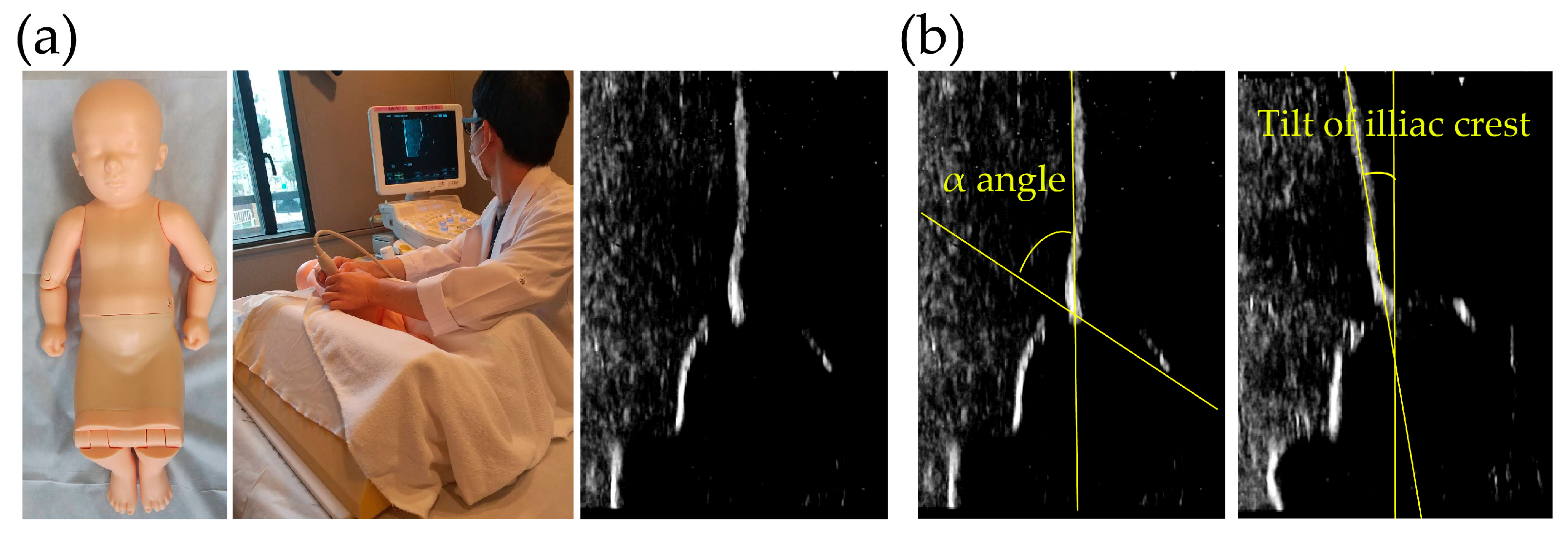 Bioengineering 12 01004 g001