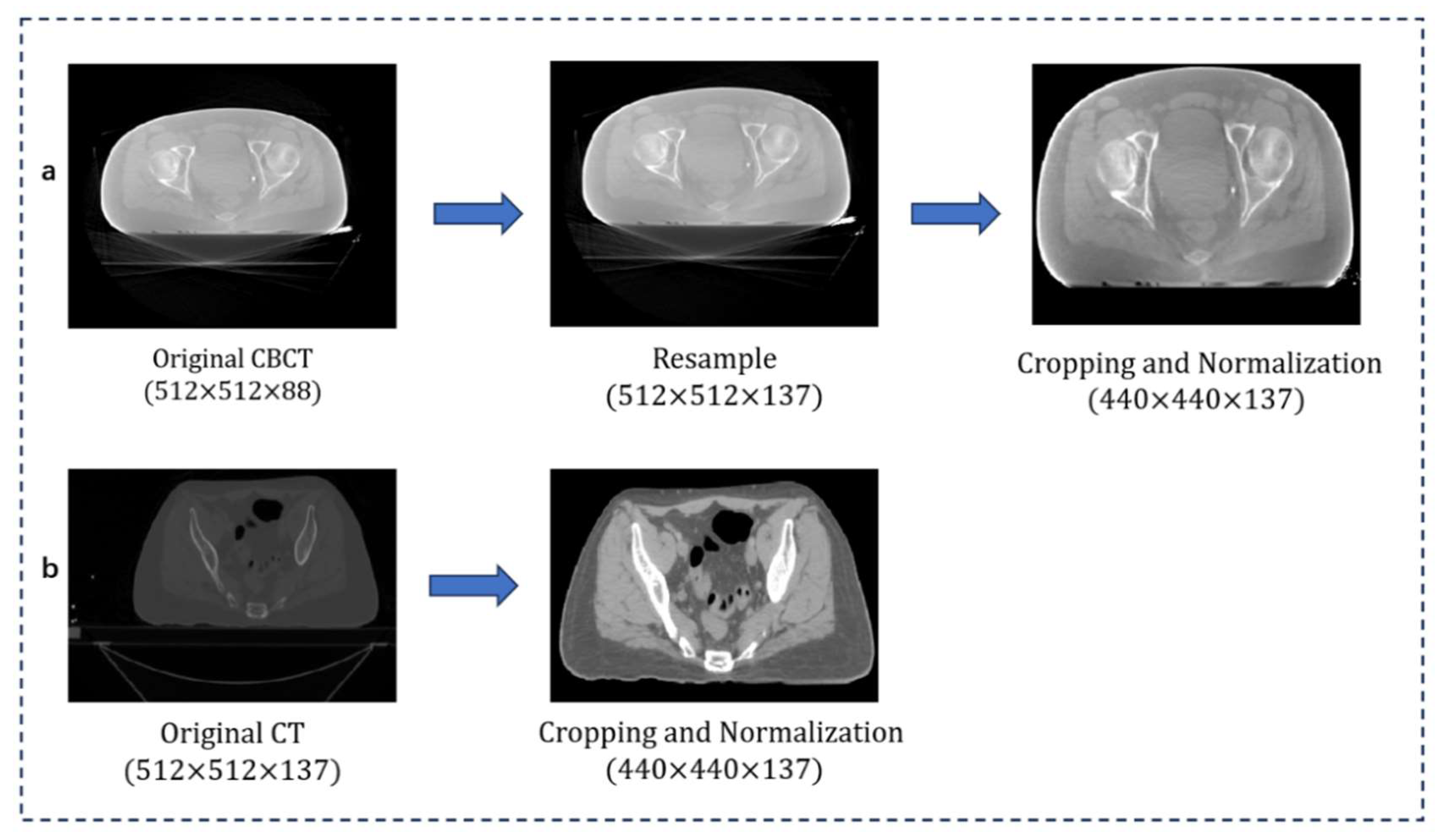 Bioengineering 12 01005 g003