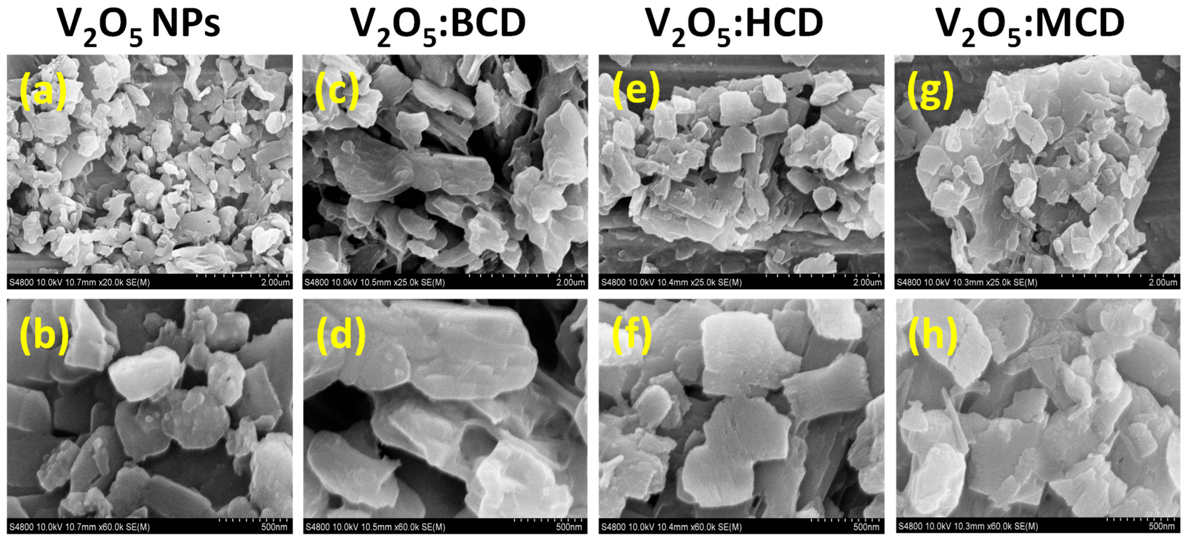 Bioengineering 12 01010 g002 Bioengineering 12 01010 g002
