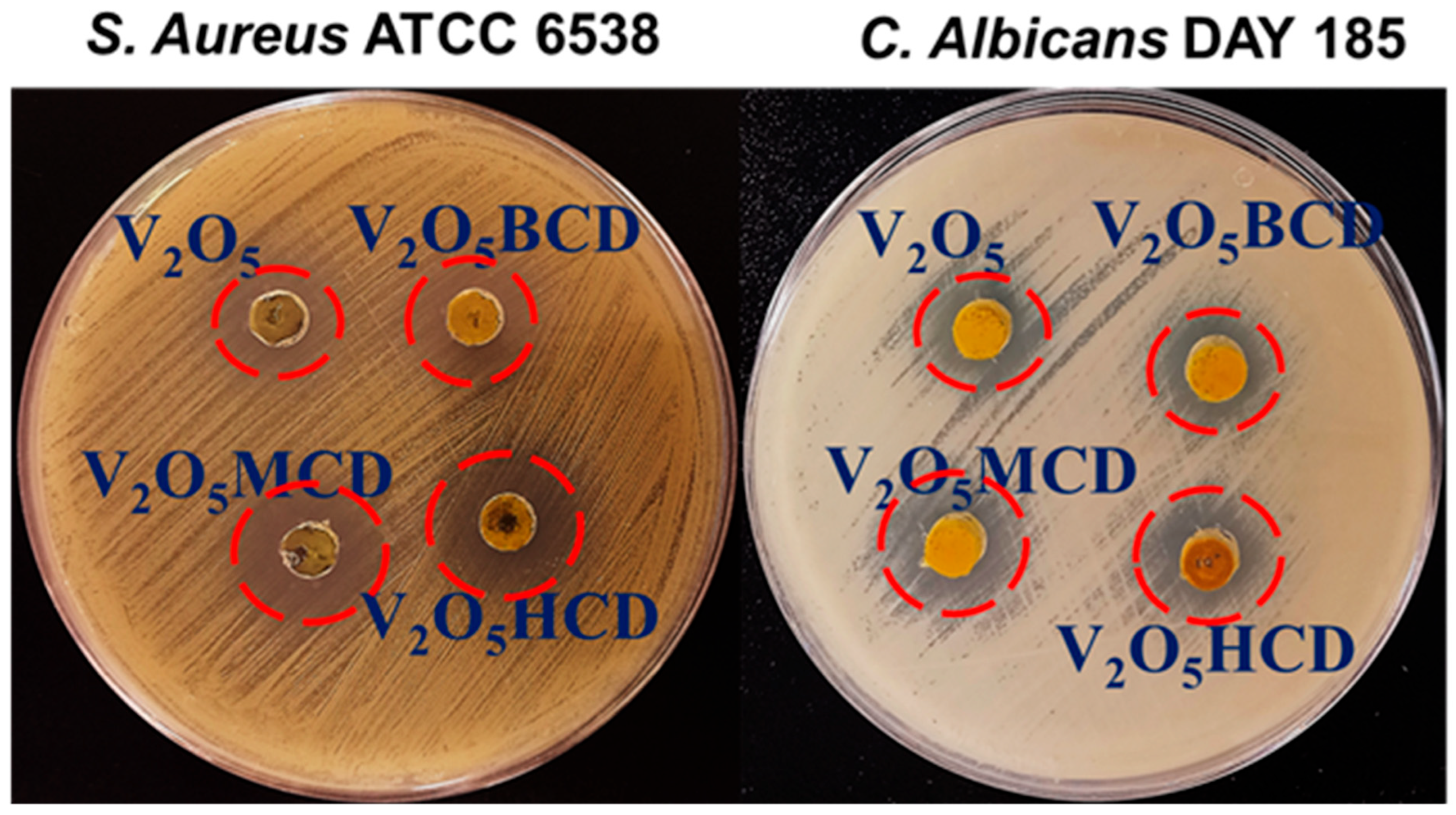 Bioengineering 12 01010 g008 Bioengineering 12 01010 g008