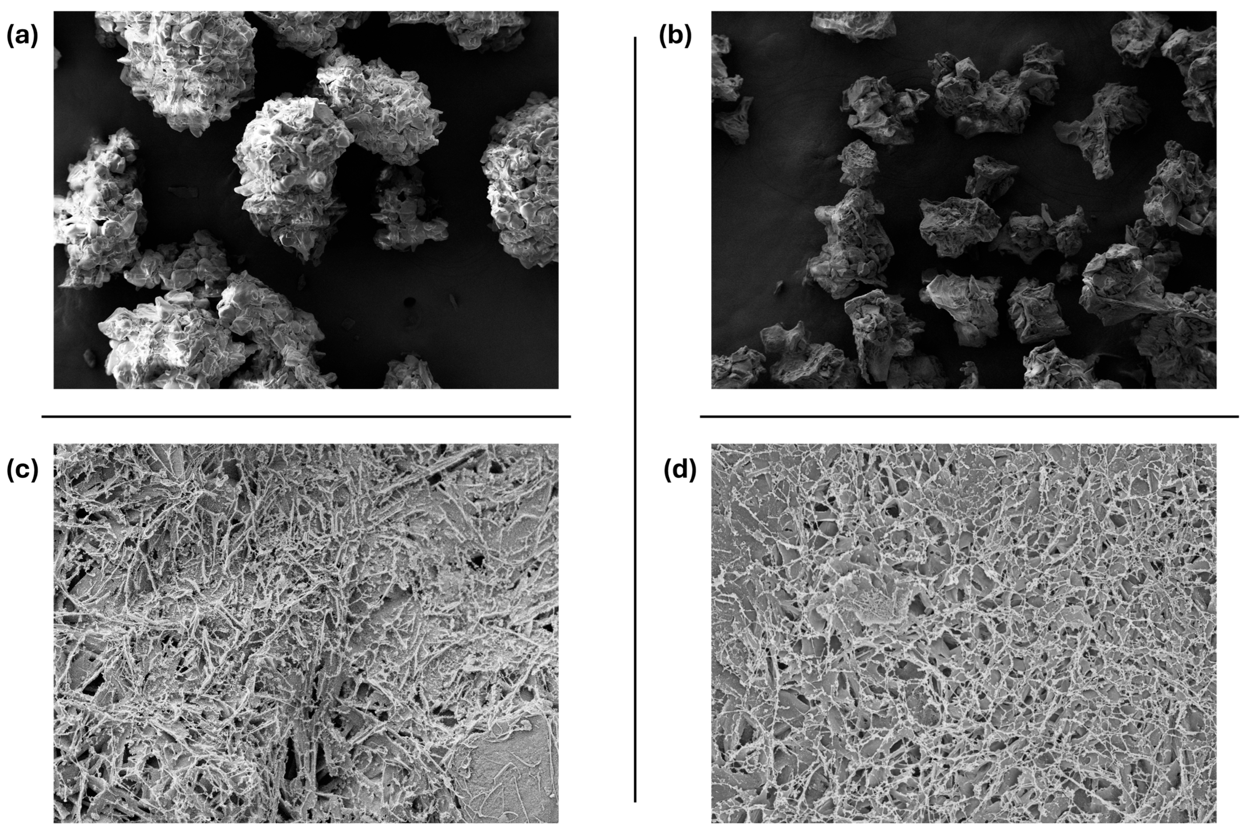 Bioengineering 12 01011 g006 Bioengineering 12 01011 g006