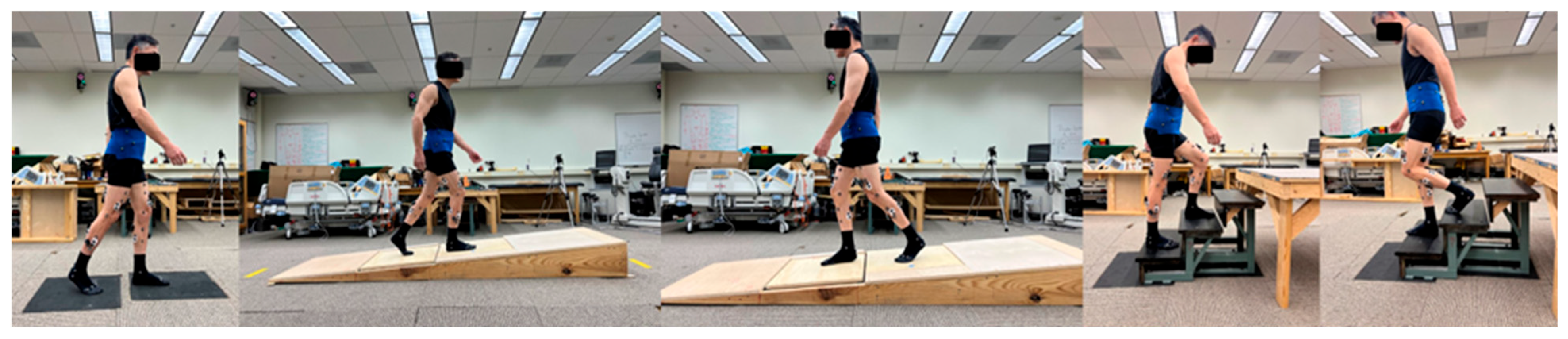 Bioengineering 12 01018 g001