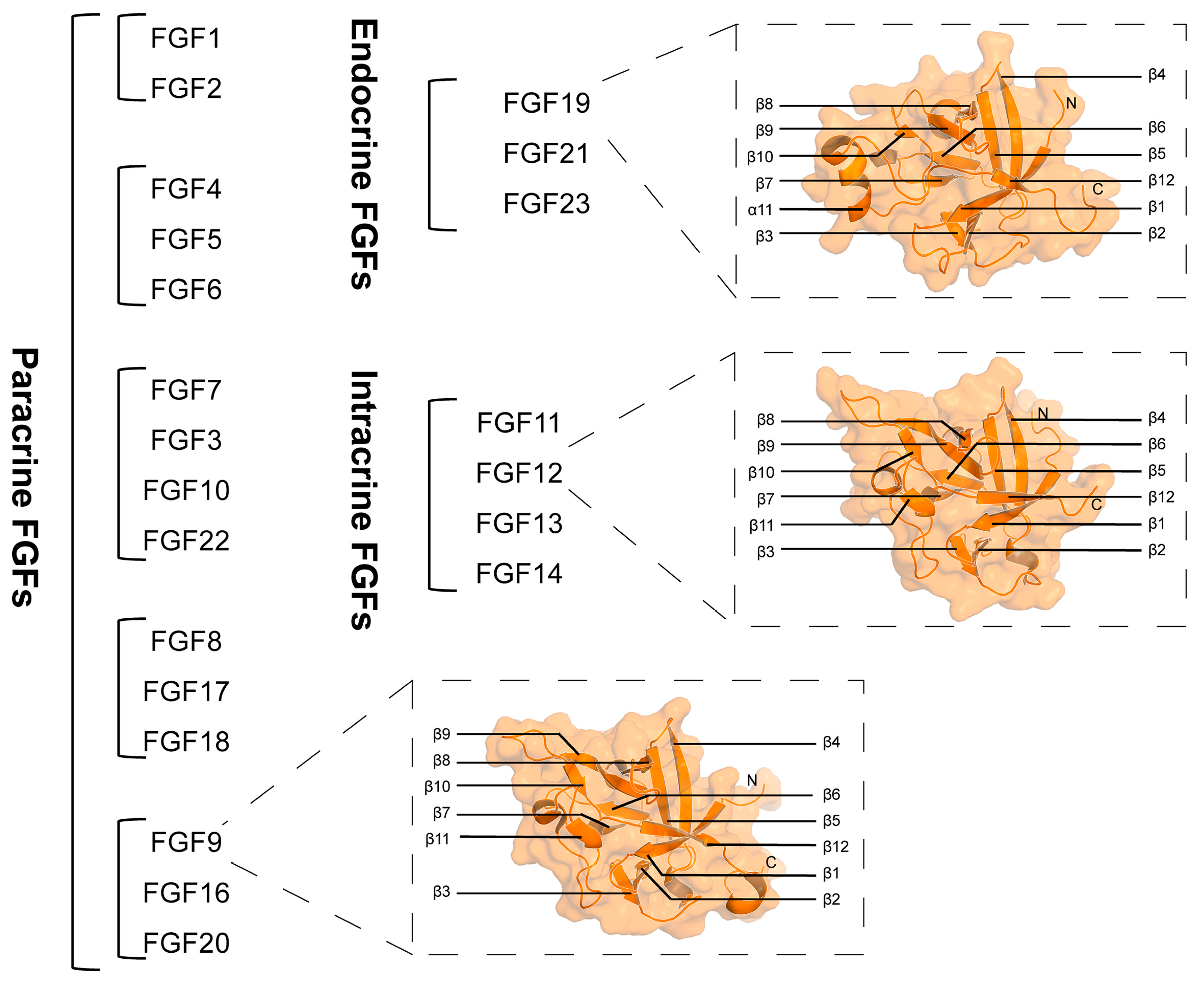 Bioengineering 12 01019 g001 Bioengineering 12 01019 g001